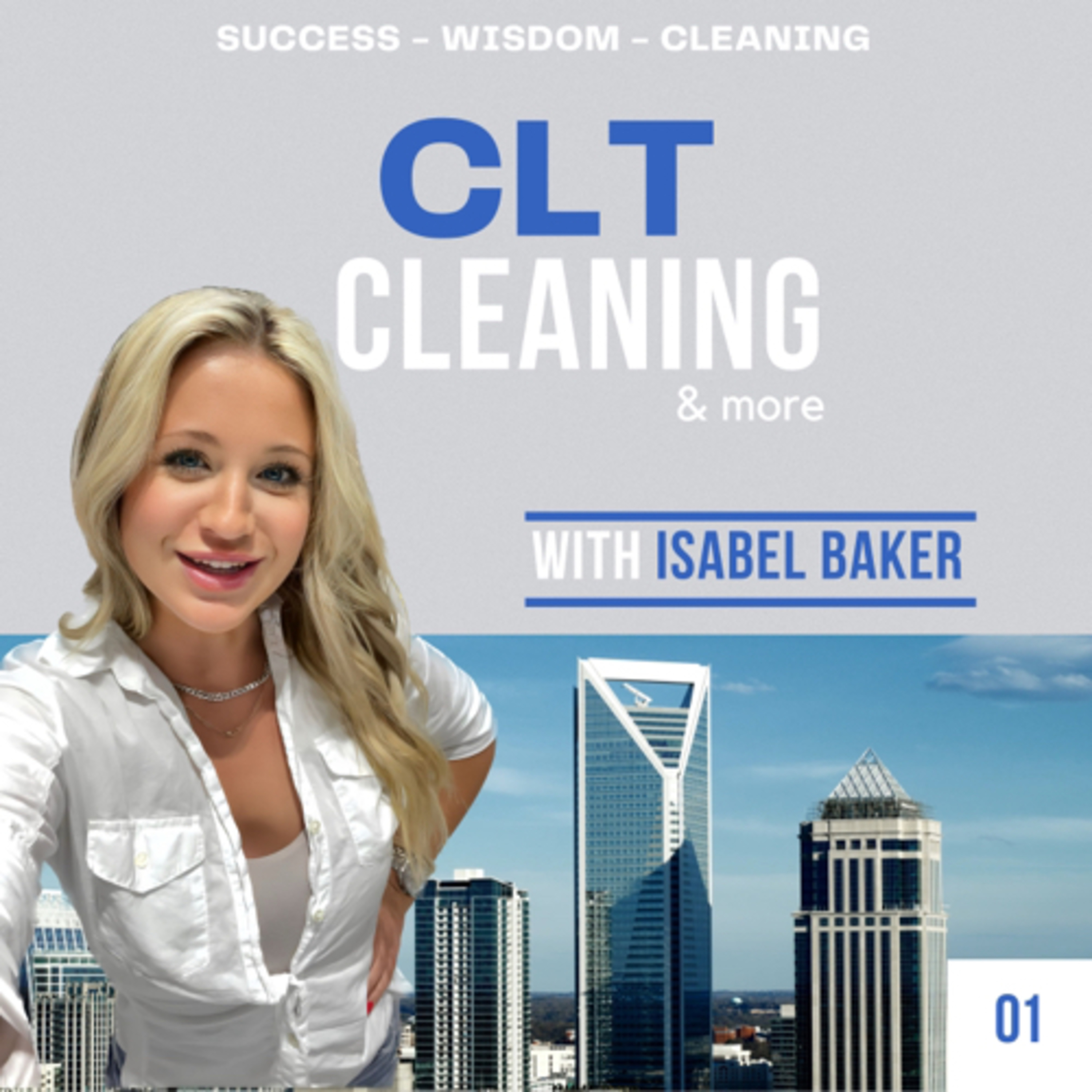 CLT Cleaning & More