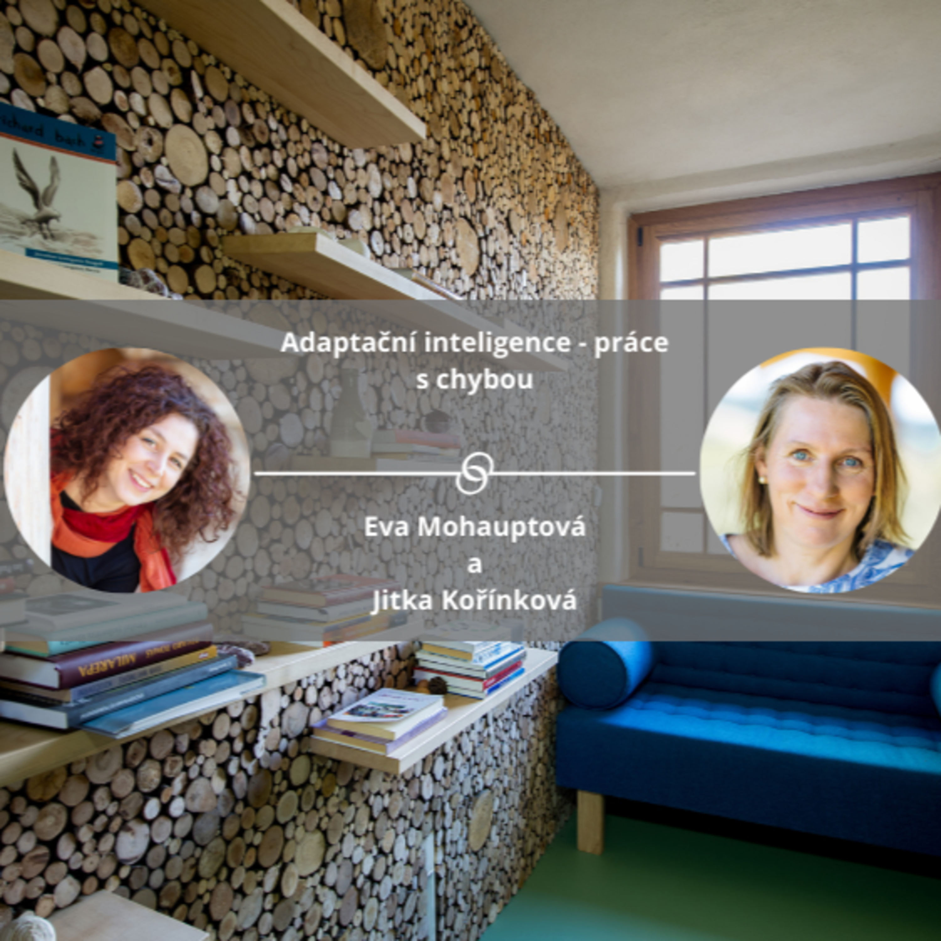 Adaptační inteligence - práce s chybou #spokojeneavykonnefirmy episode artwork