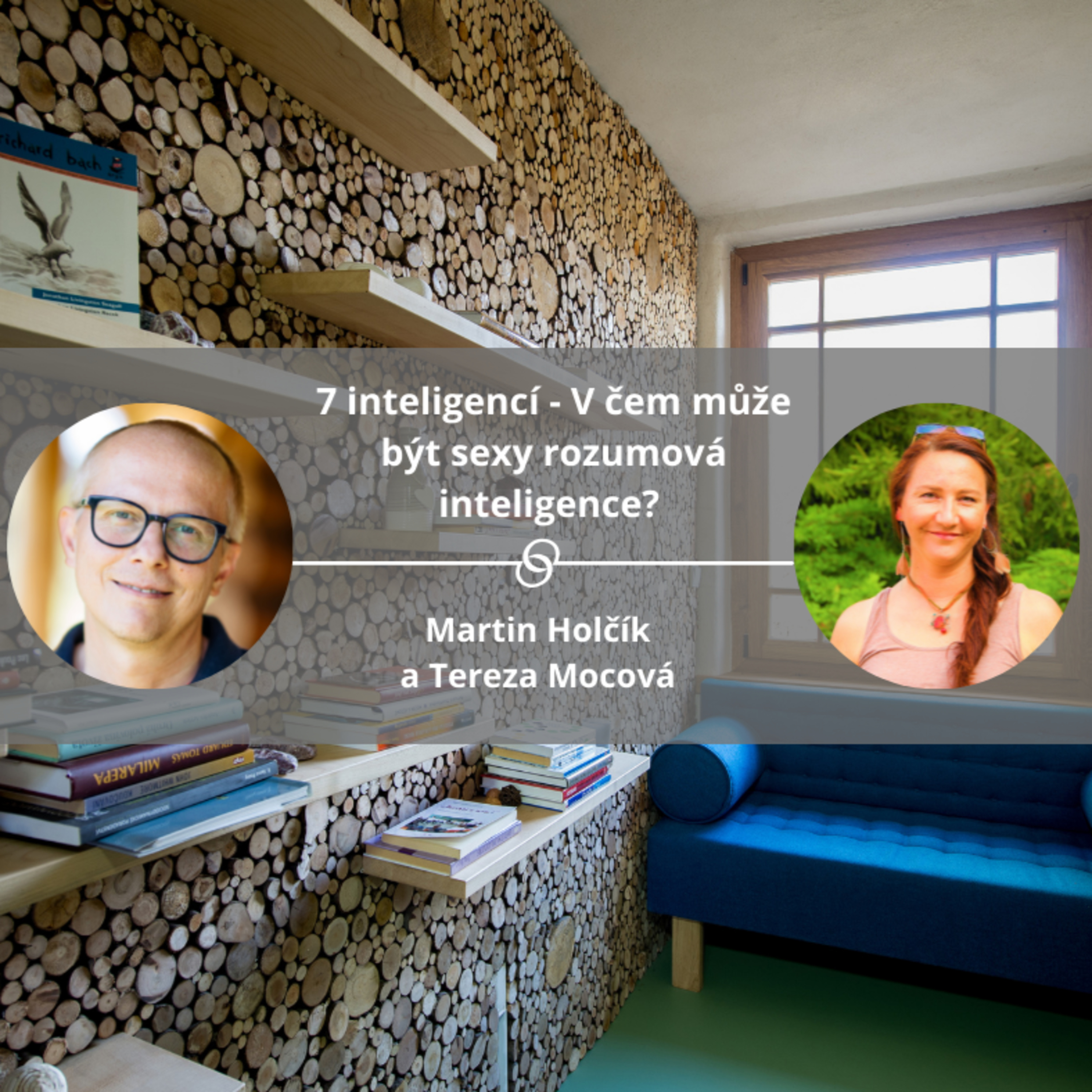 7 inteligencí - V čem může být sexy rozumová inteligence? #mojespokojenost episode artwork