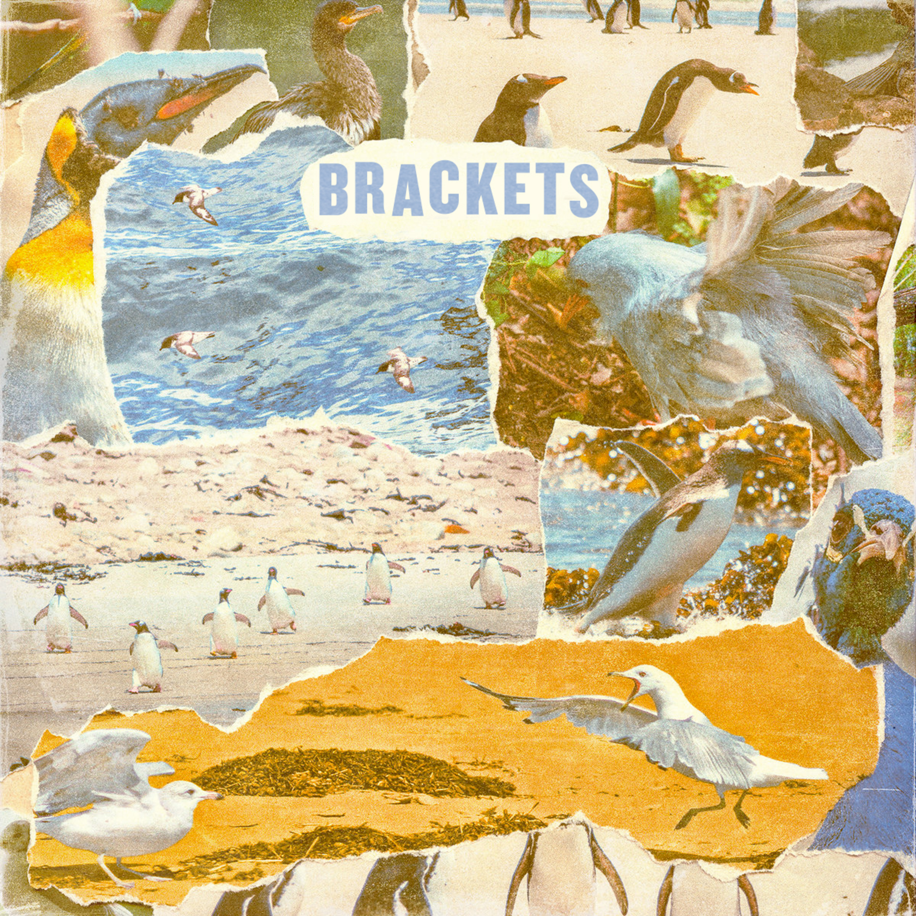 Episode 009 - Gulfer