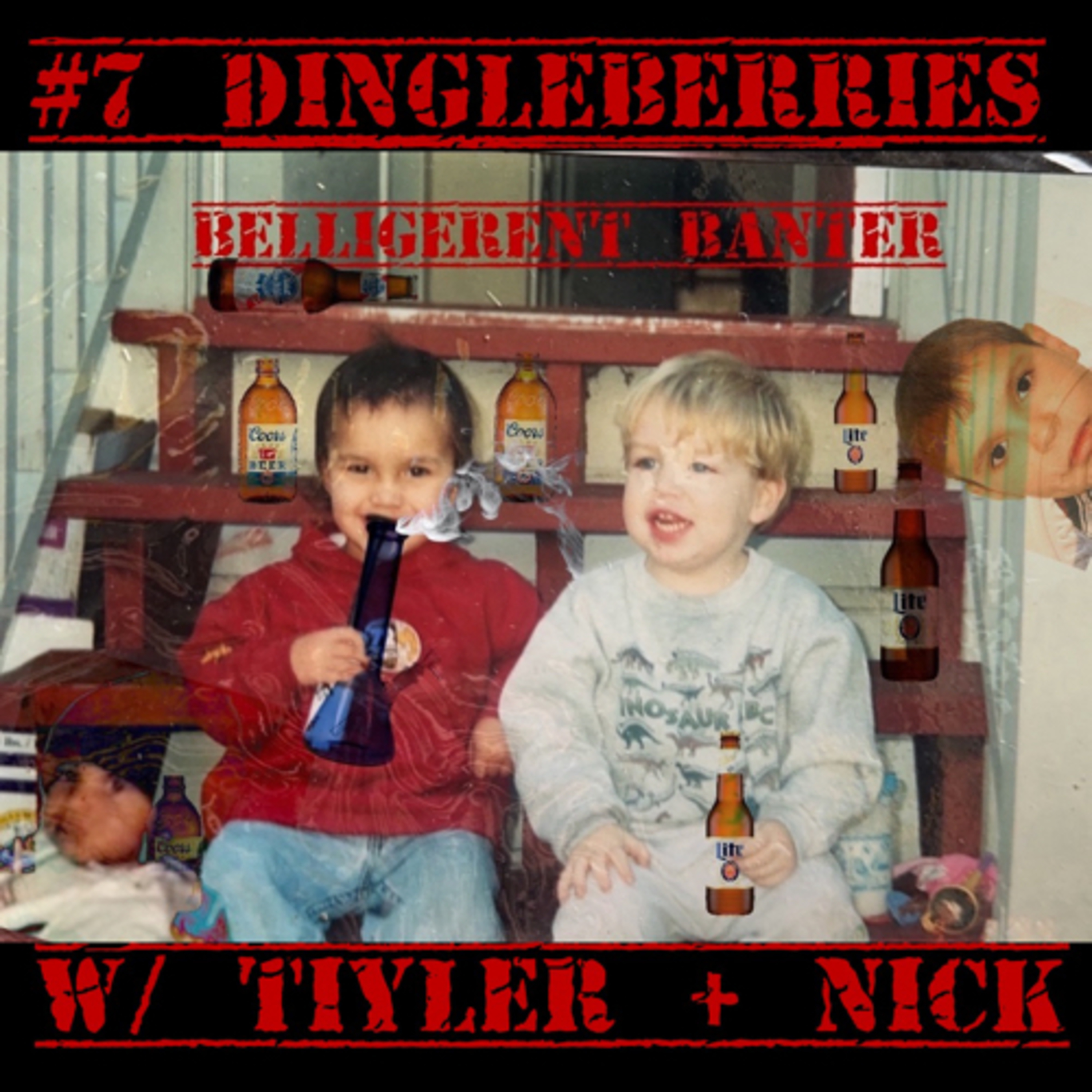 #7 Dingleberries  episode artwork