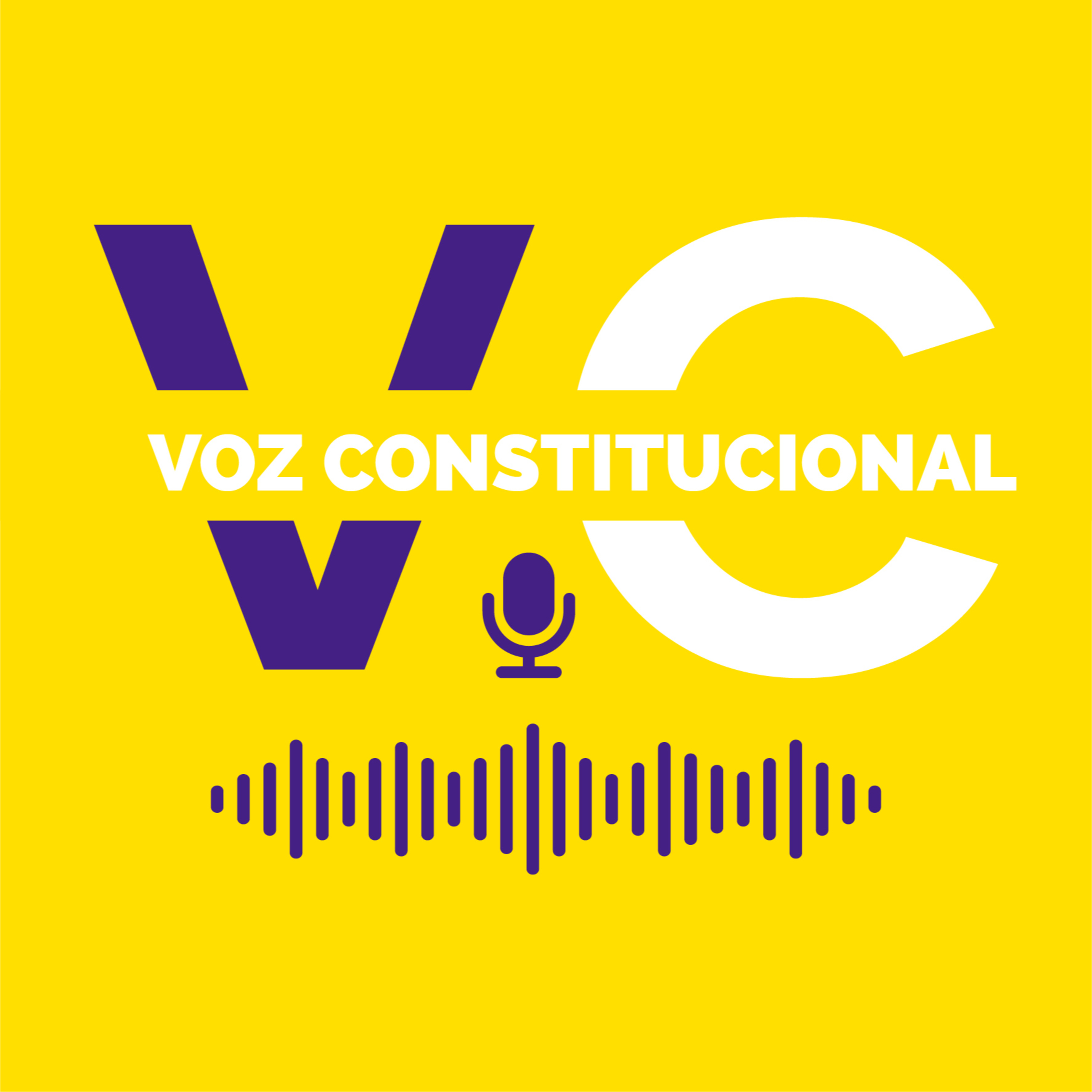 Voz Constitucional 22 - ¿Por qué son tan importantes que estén en la Nueva Constitución los quórums de aprobación, modificación y derogación? episode artwork