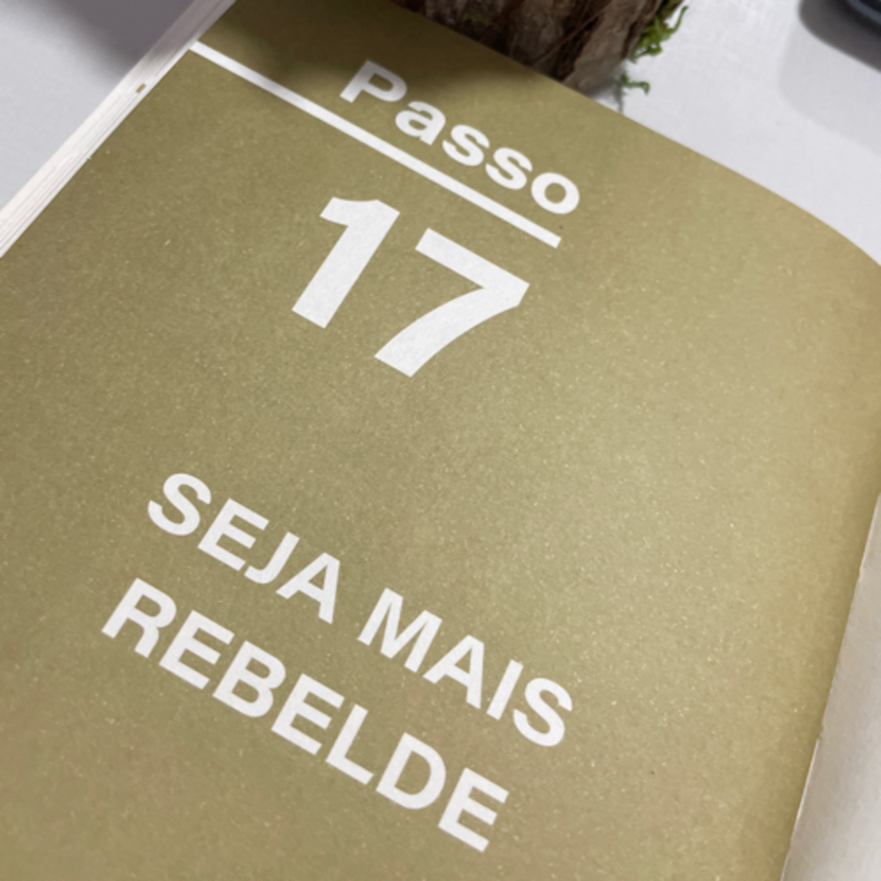 Ler para conquistar