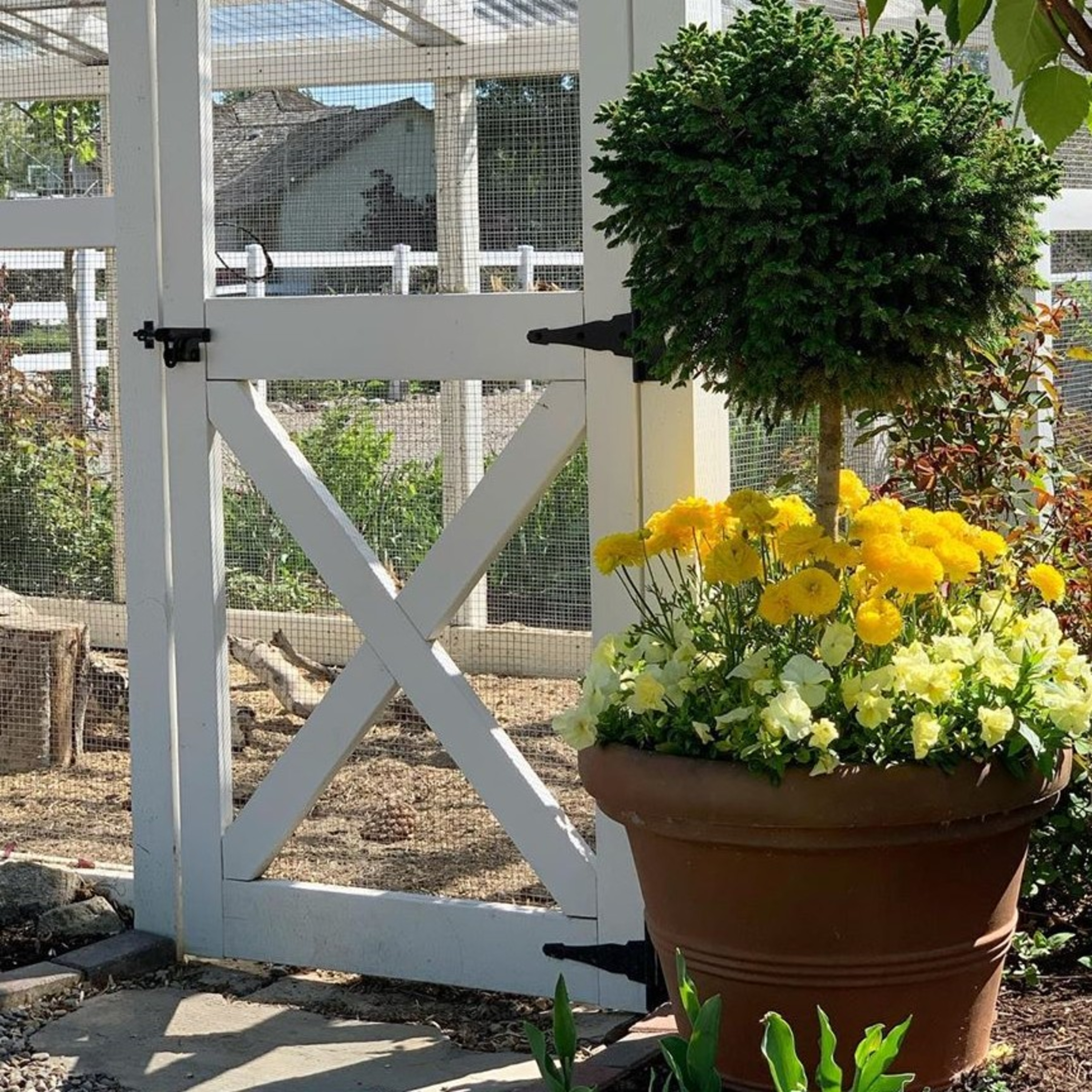 Joy in the Garden