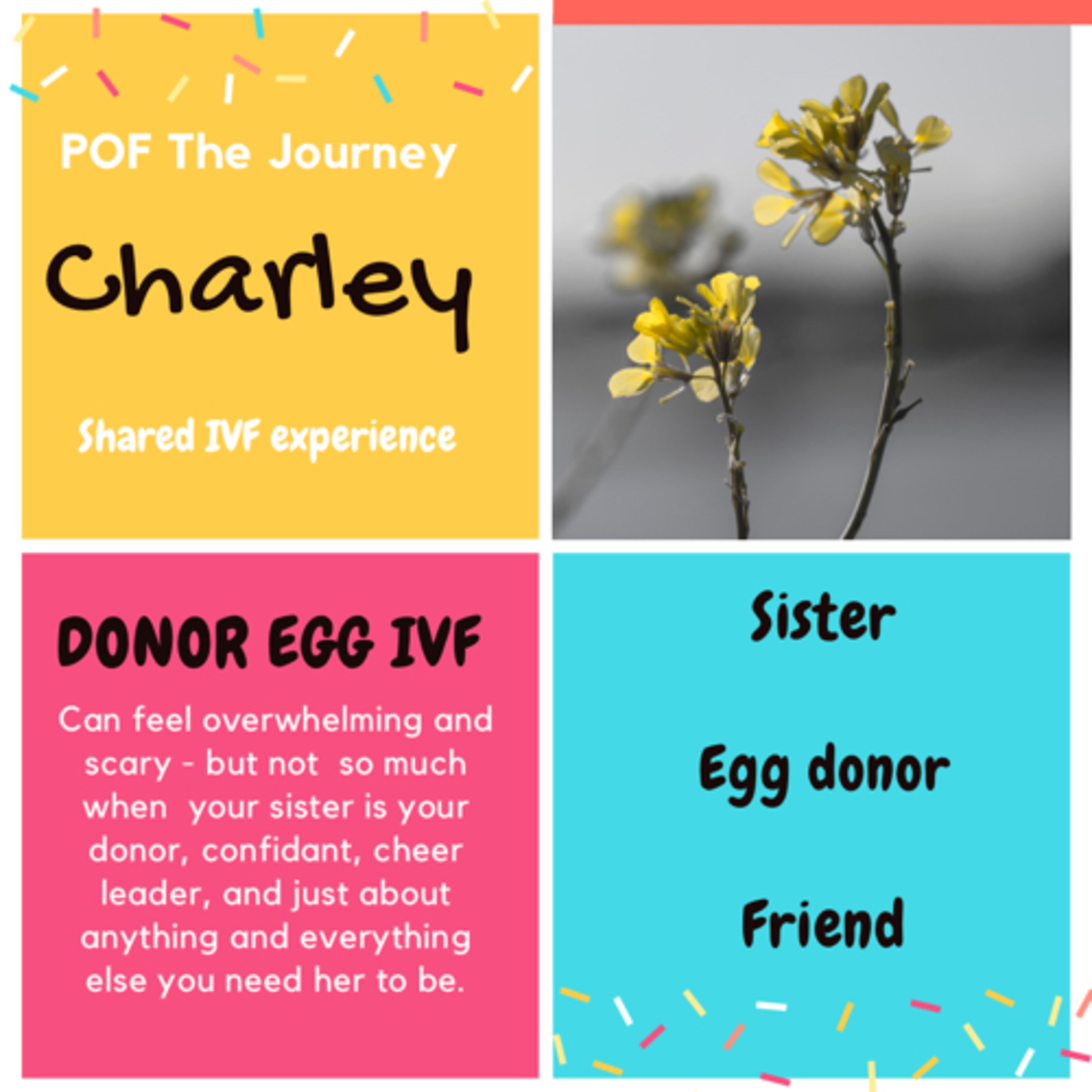 Shared IVF experience episode artwork