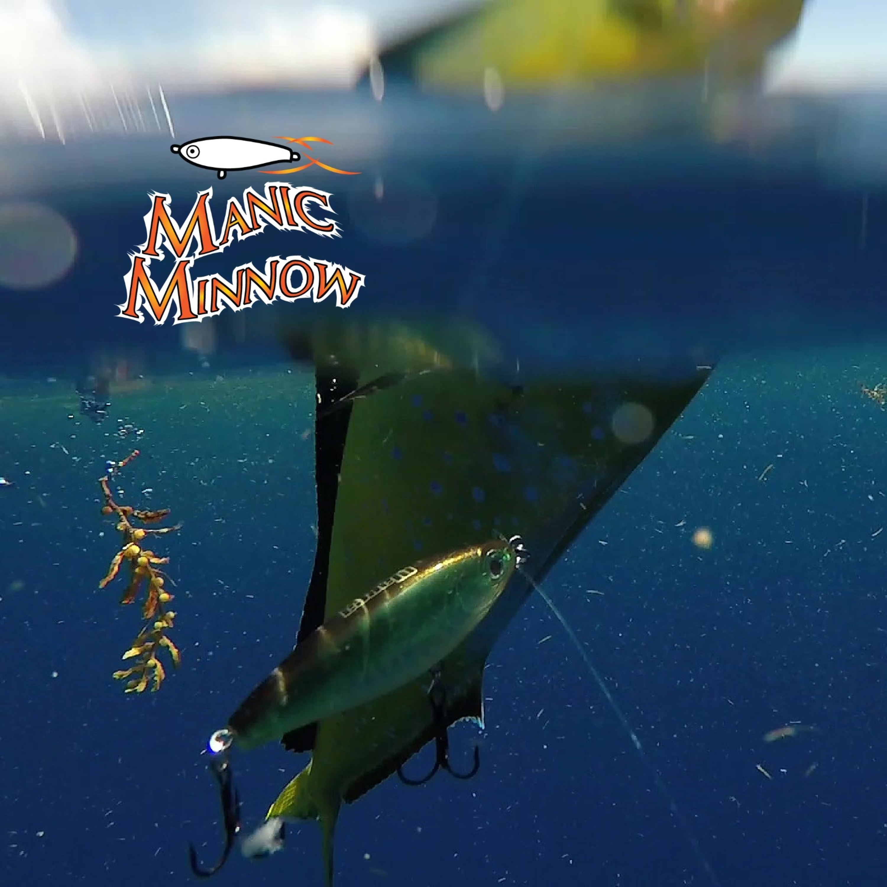 The Marea Fishing PODCAST