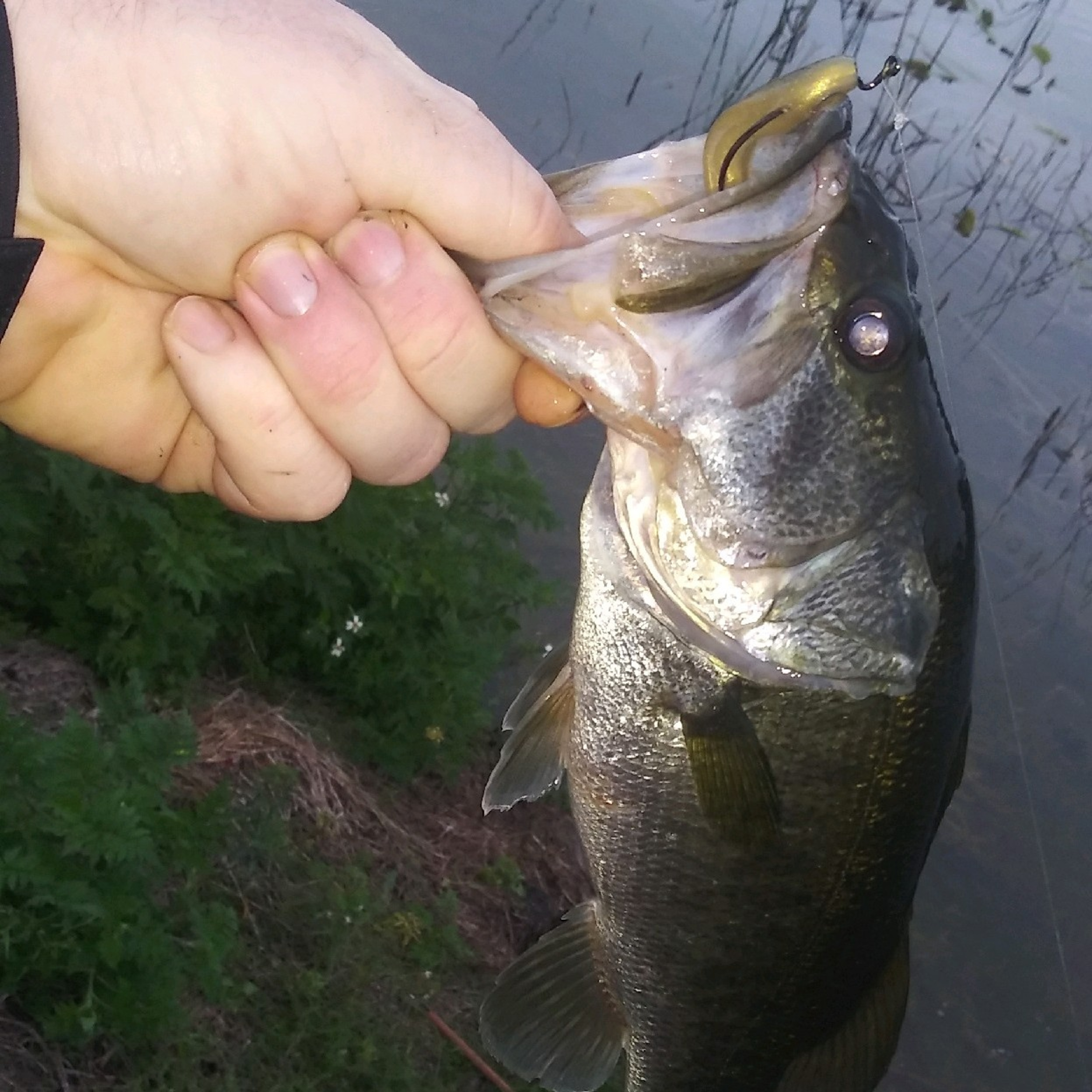 The Marea Fishing PODCAST