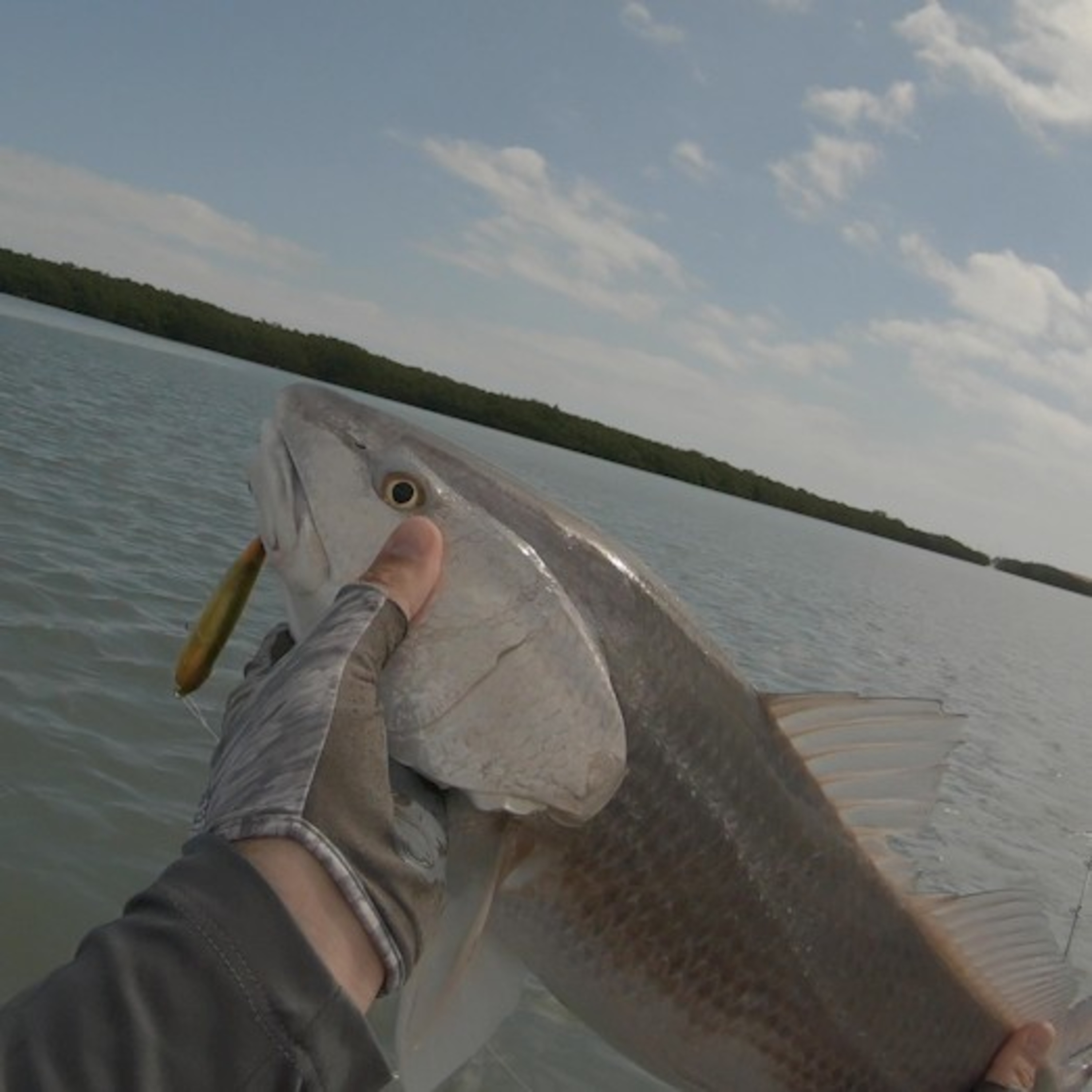 The Marea Fishing PODCAST