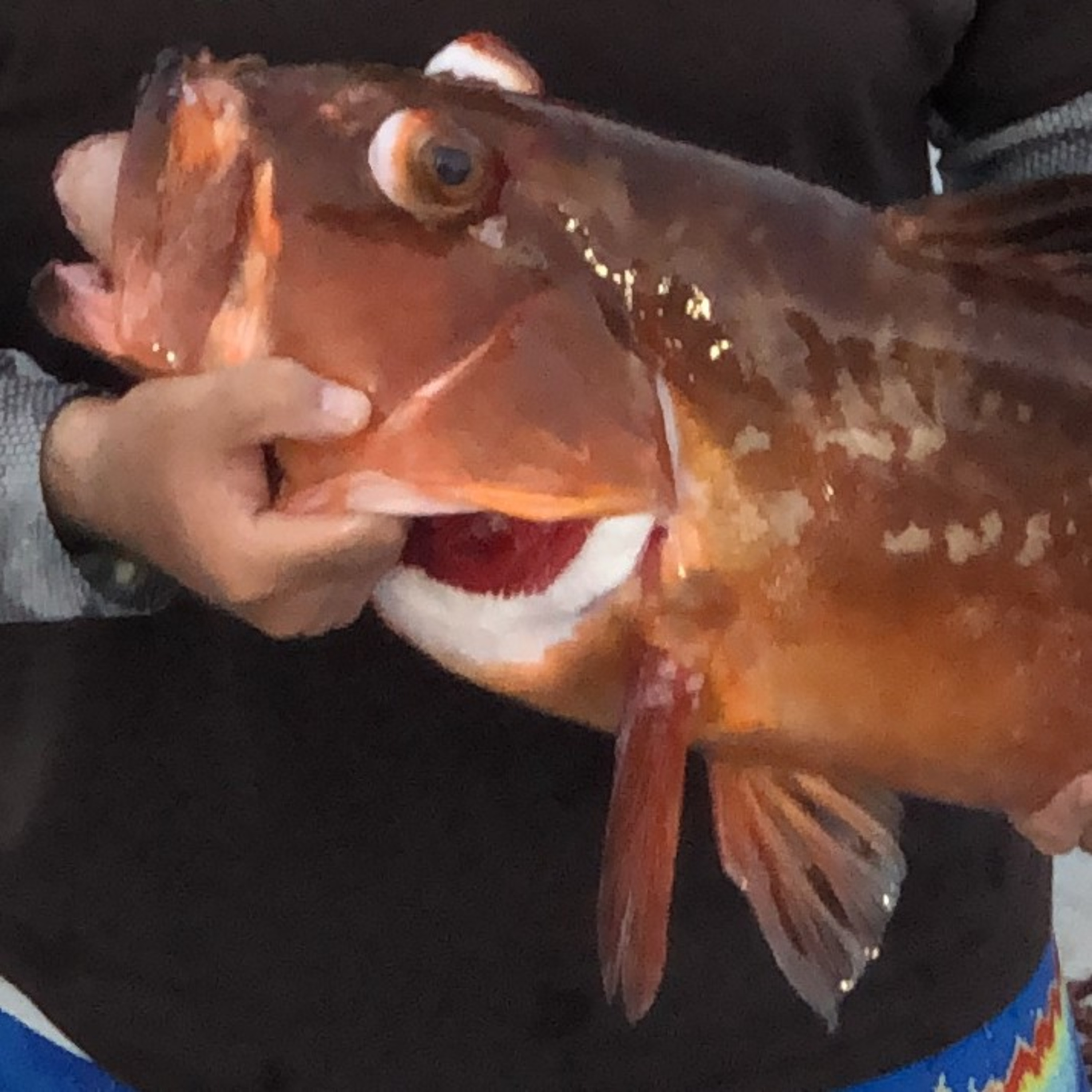 The Marea Fishing PODCAST