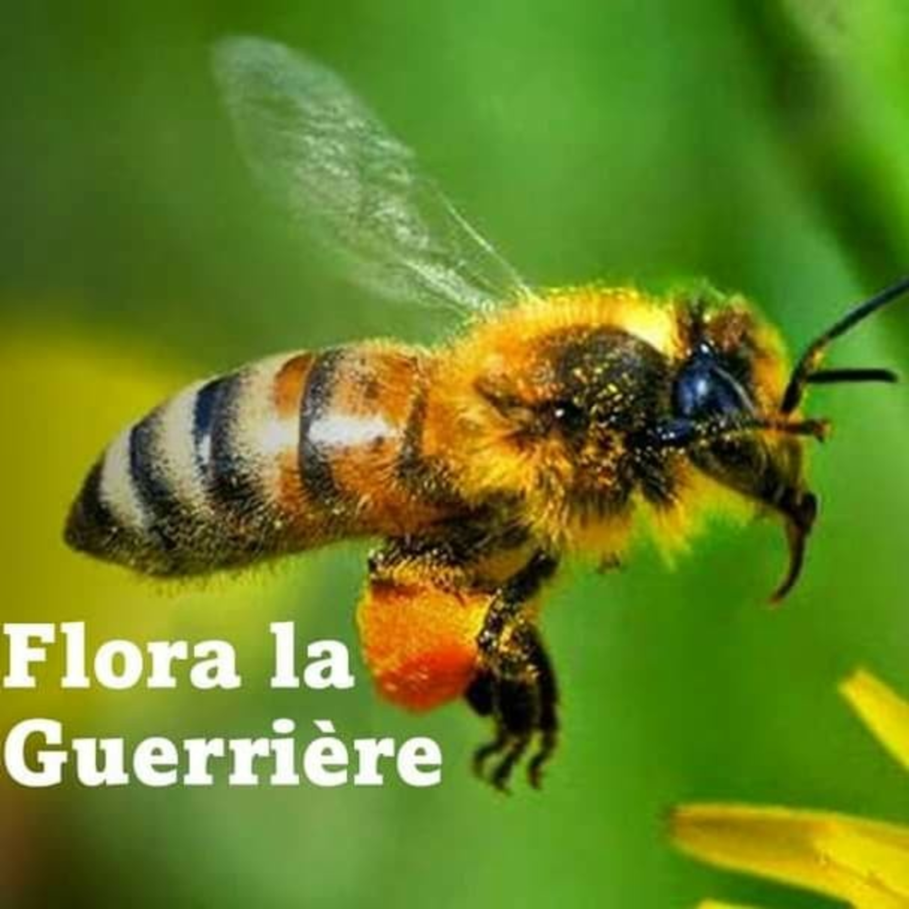 L\'Instant des #Elles