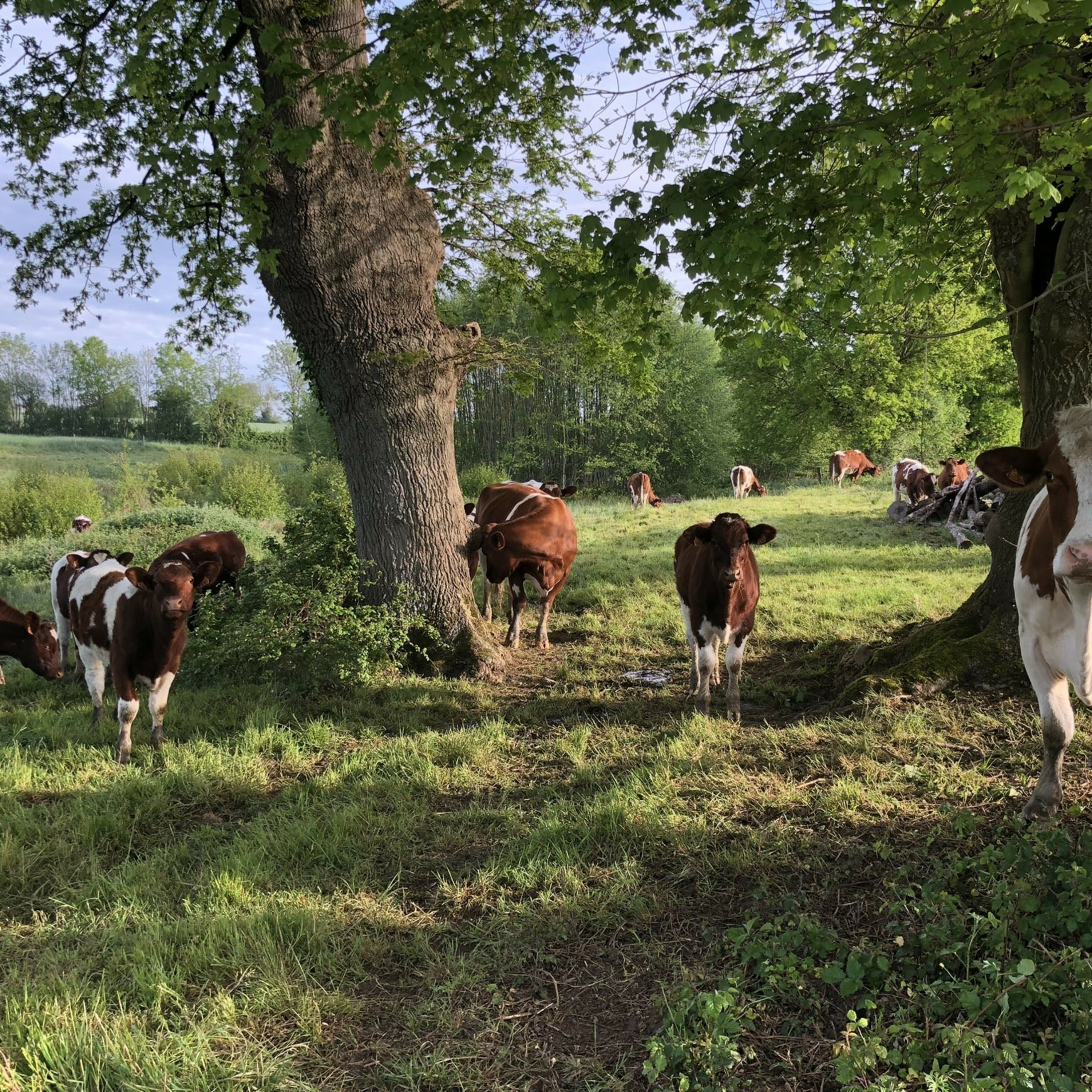 L\'Instant des #Elles
