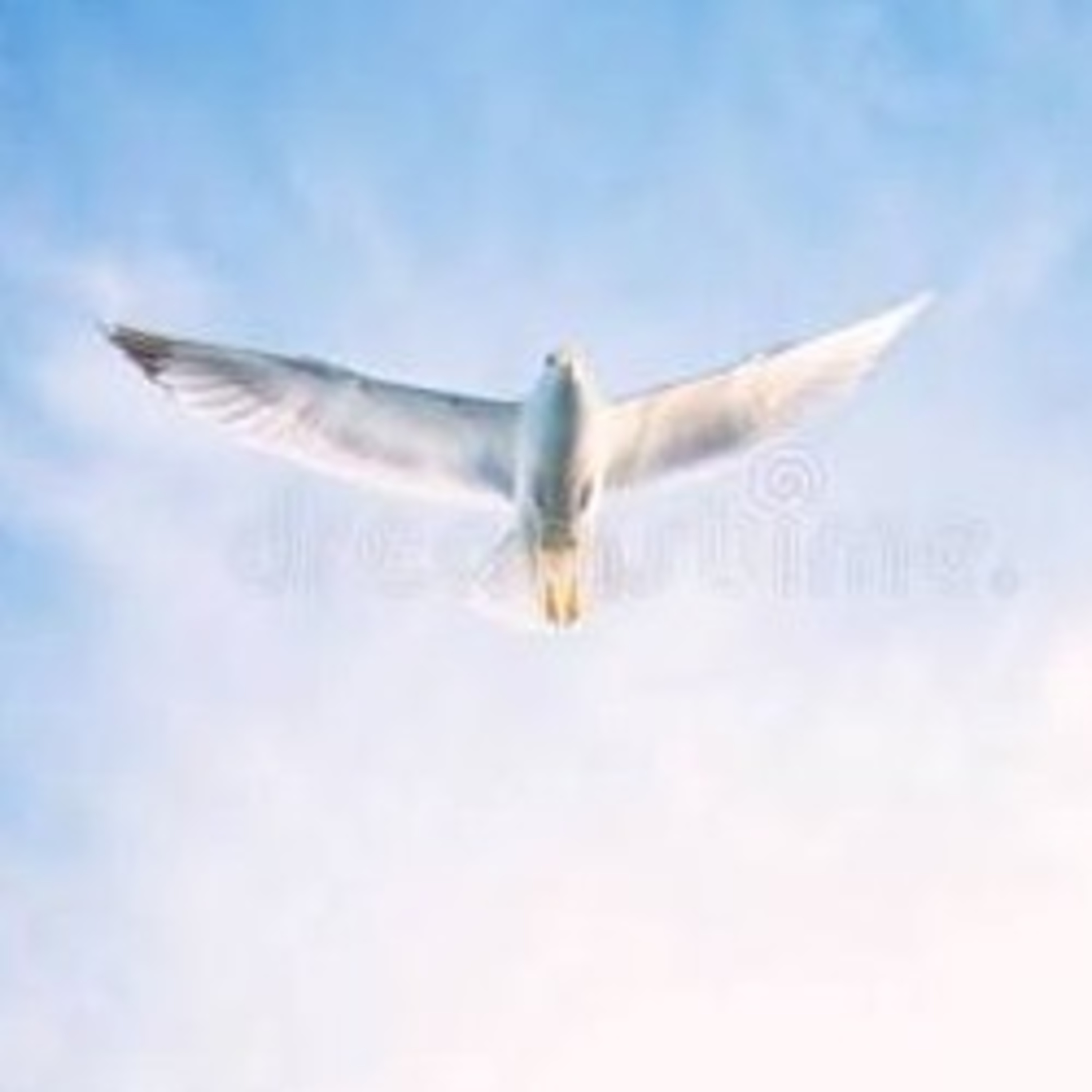 BaateN Dil Ki : Poetry (Hindi & Urdu)