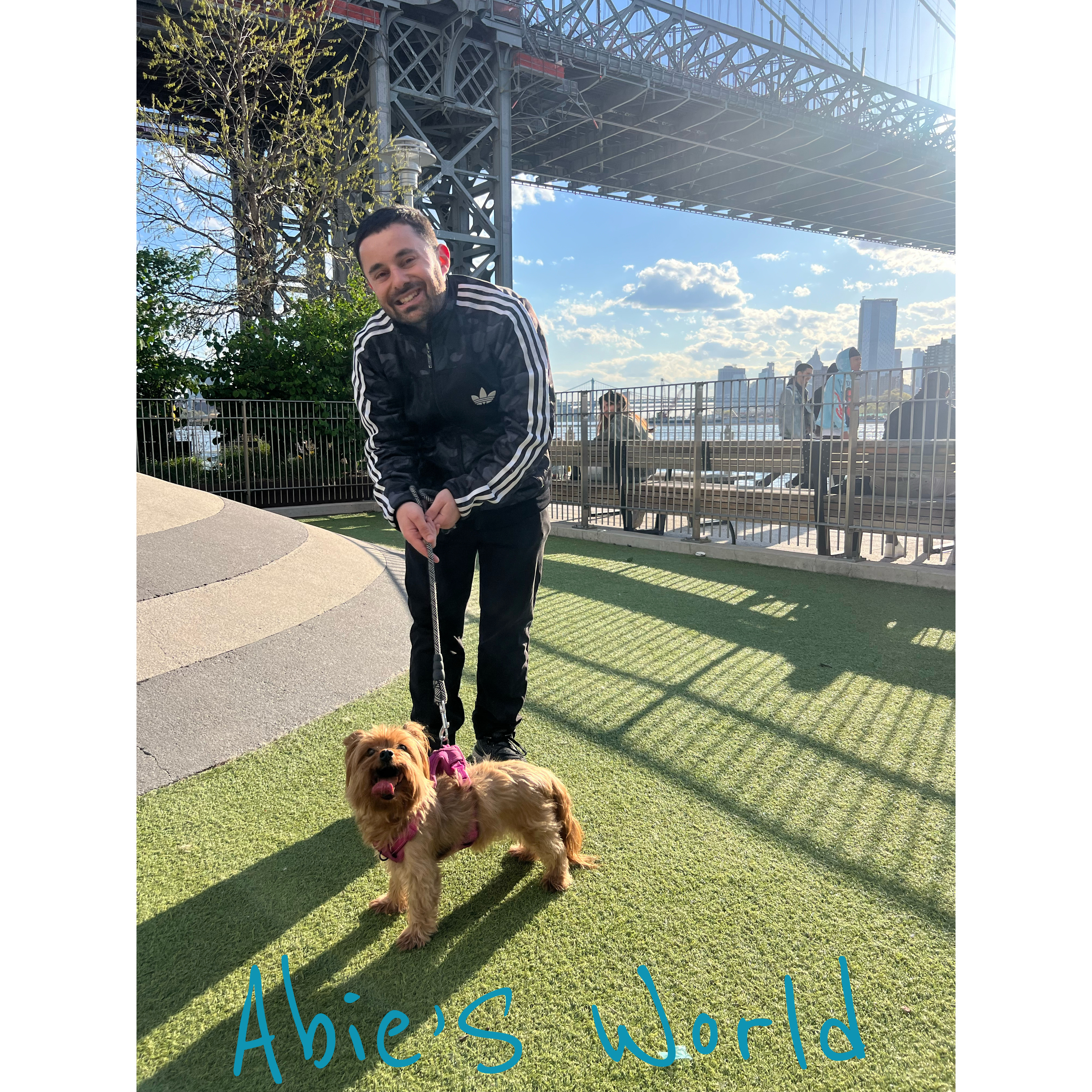 Abie’s World