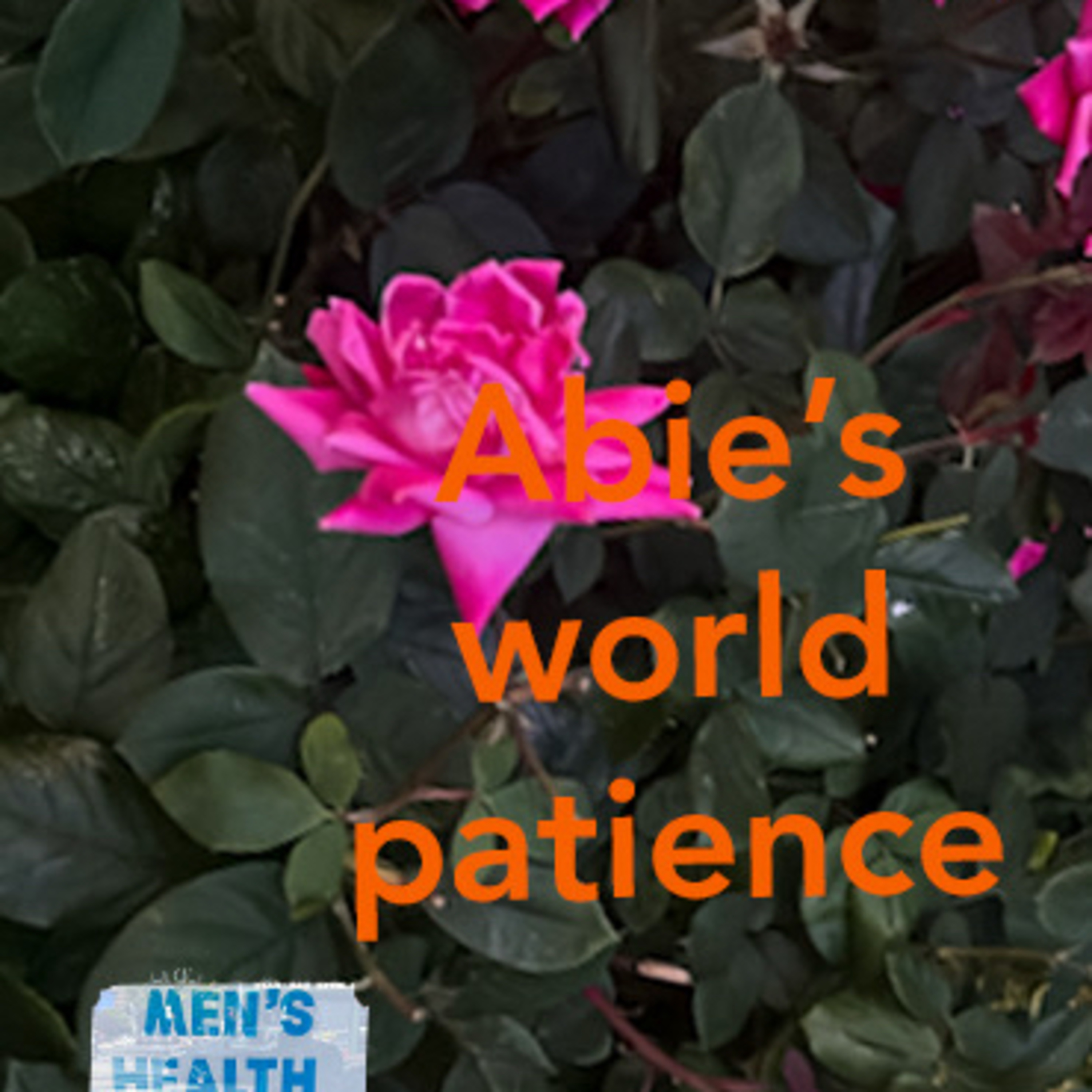 Abie’s World
