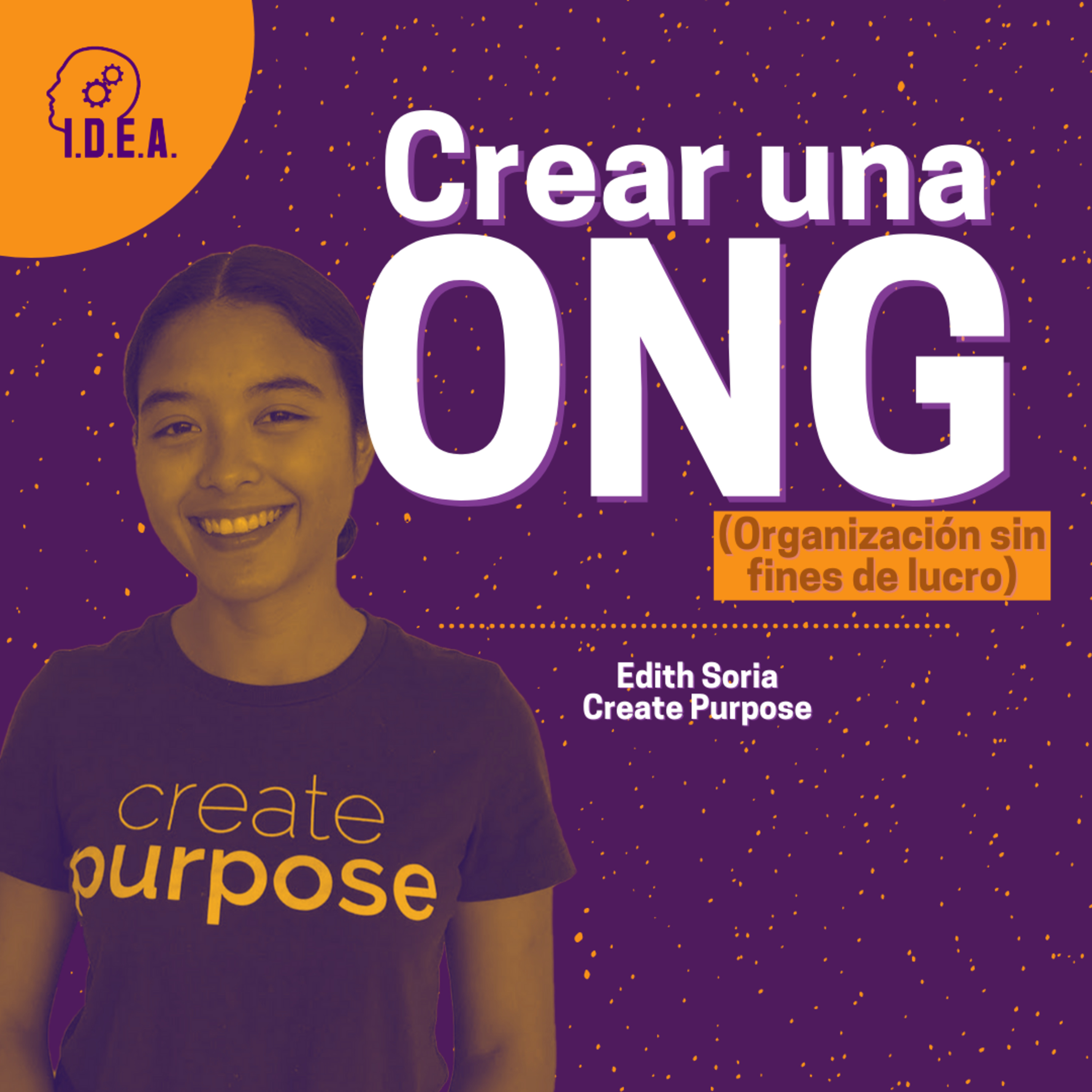 👫🌎 Cómo crear una ONG (Organización sin fines de lucro) 🙋‍♂️🙋‍♀️ IDEA Podcast