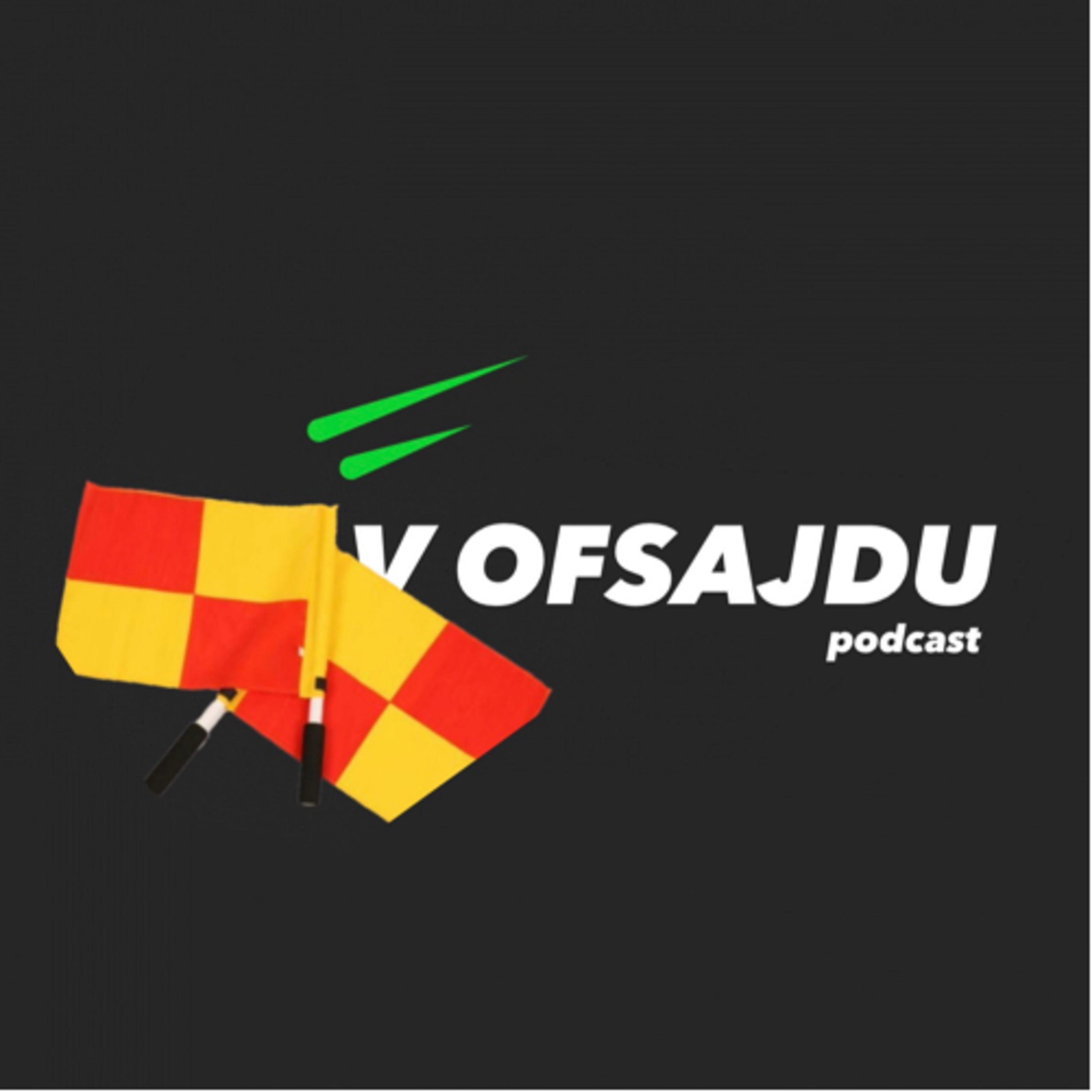 V OFSAJDU