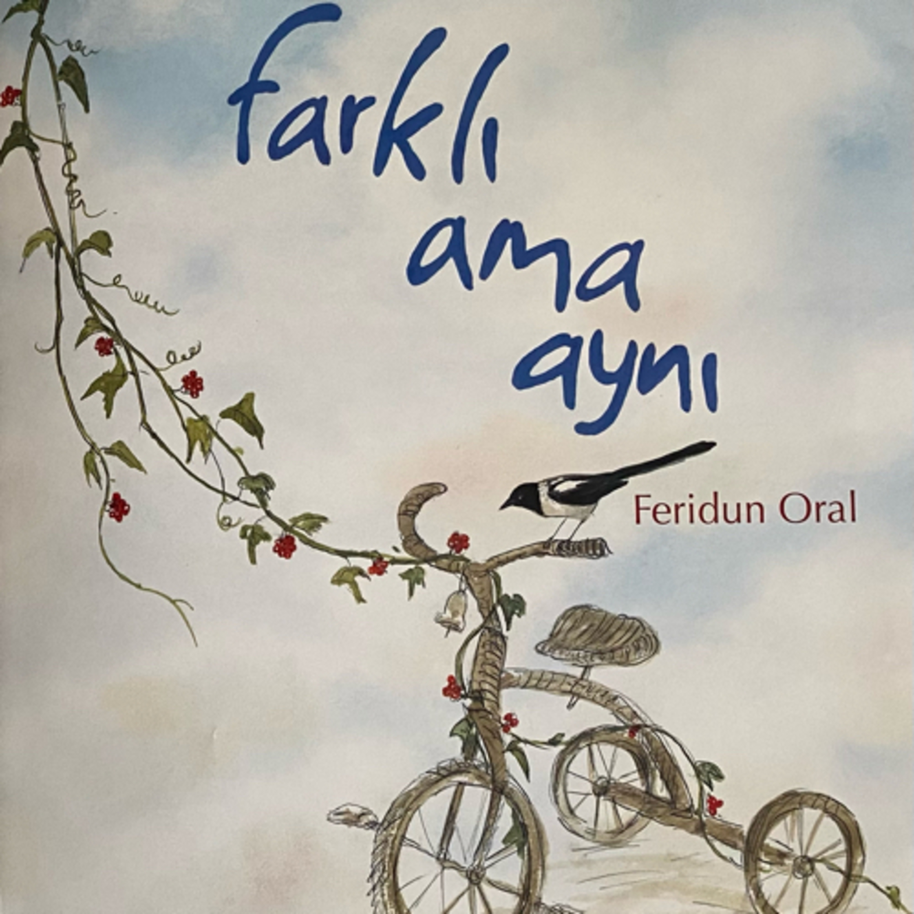 Türkçe Hikayeler -Turkish Stories