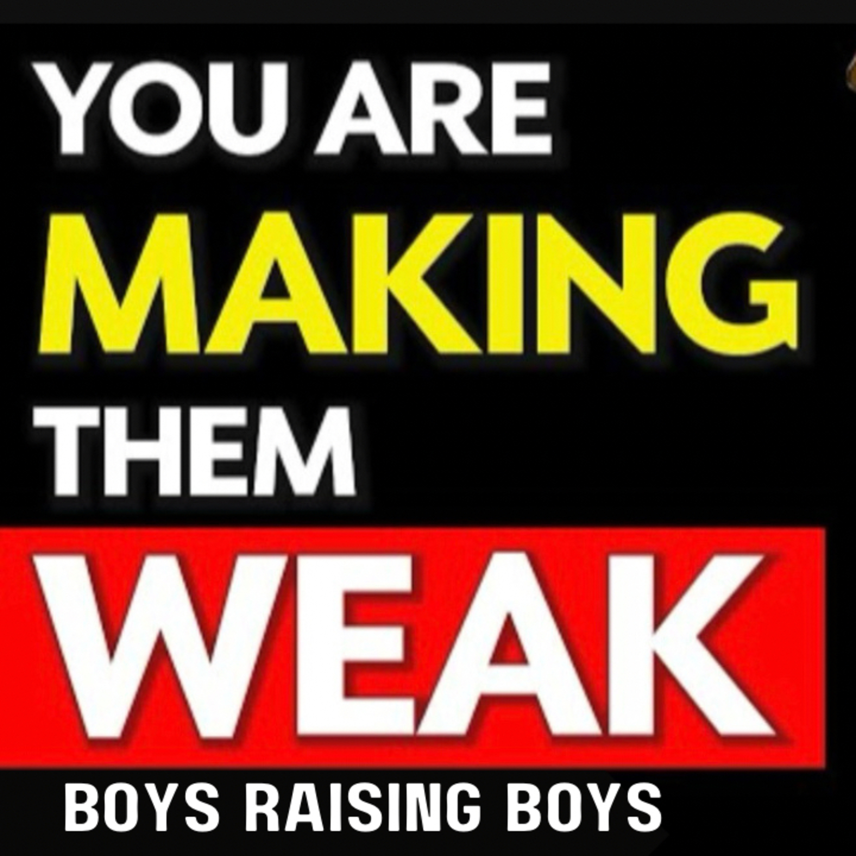 The Consequences of Boys Raising Boys episode artwork