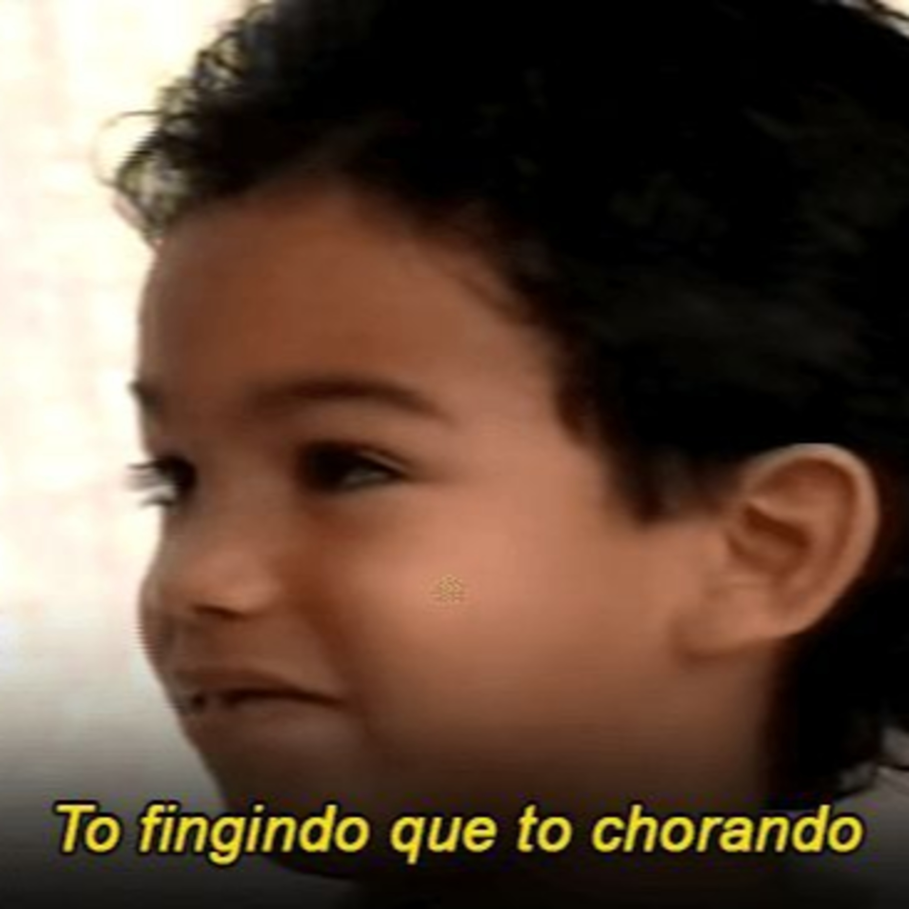 Direito com Lunis