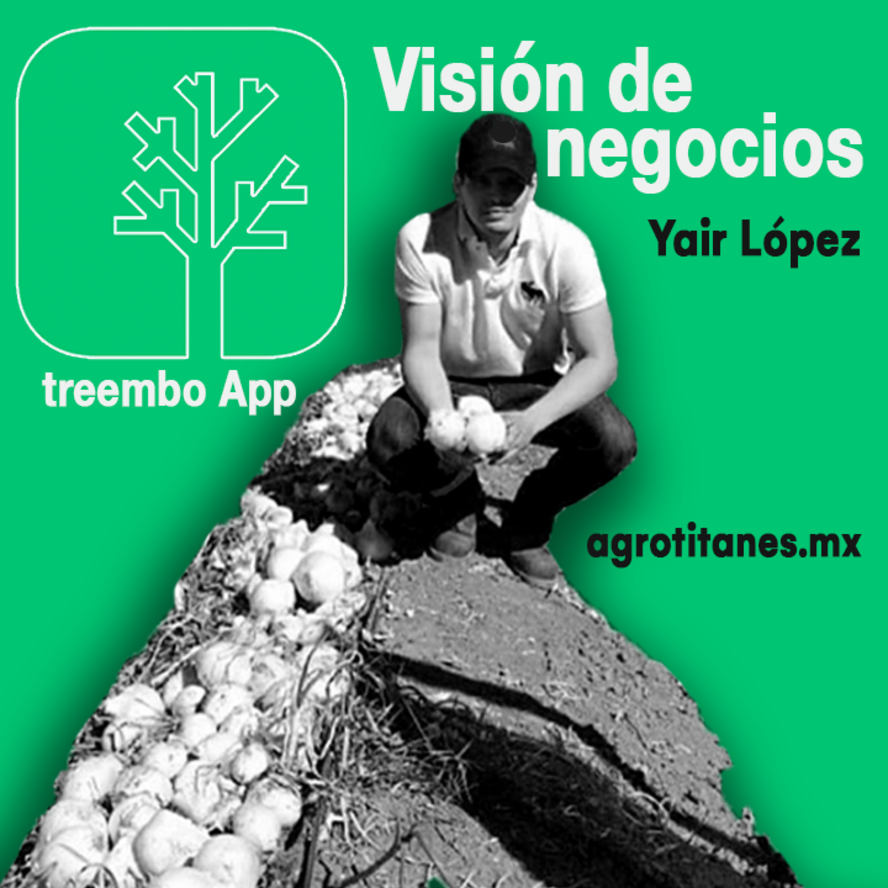 Agrotitanes