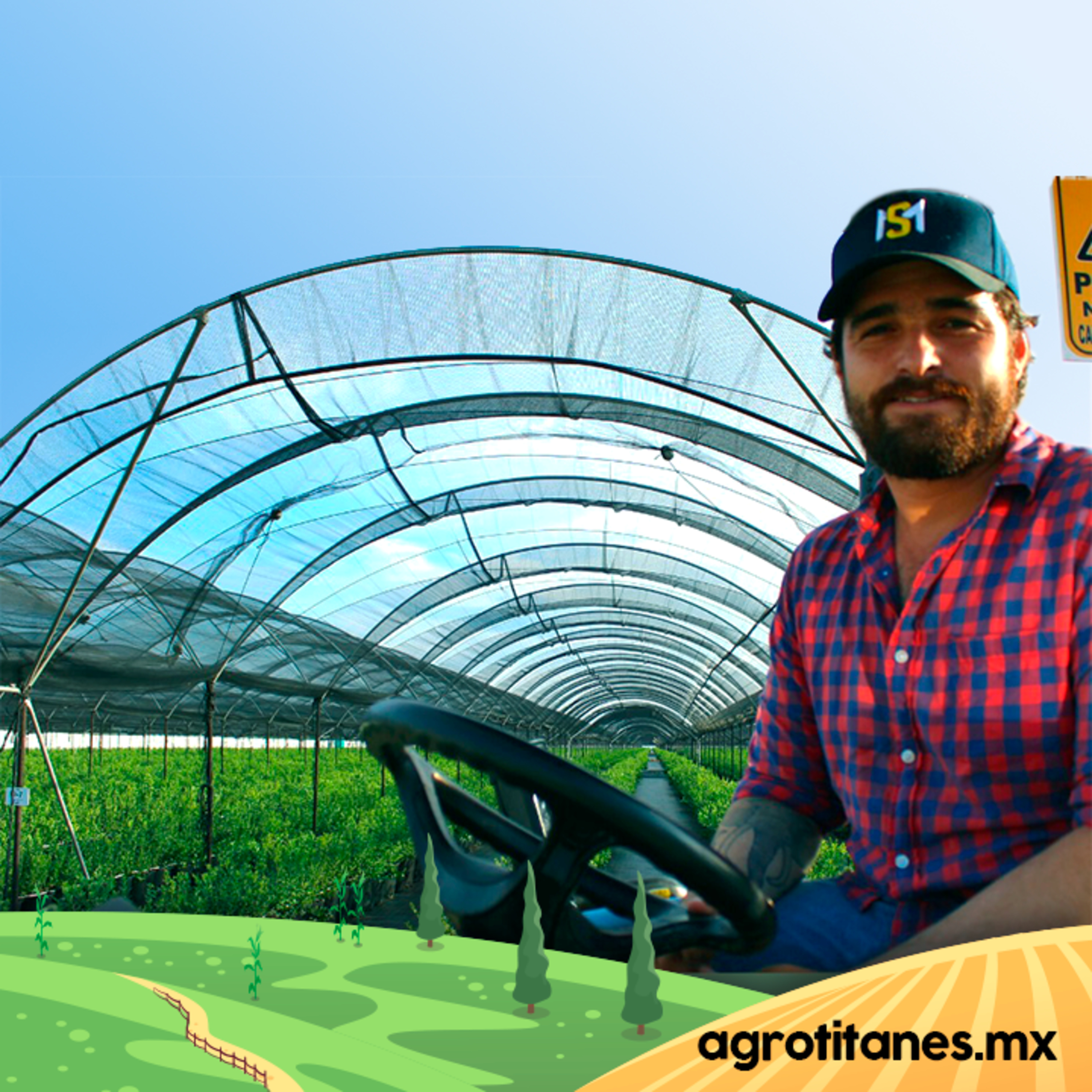 Agrotitanes