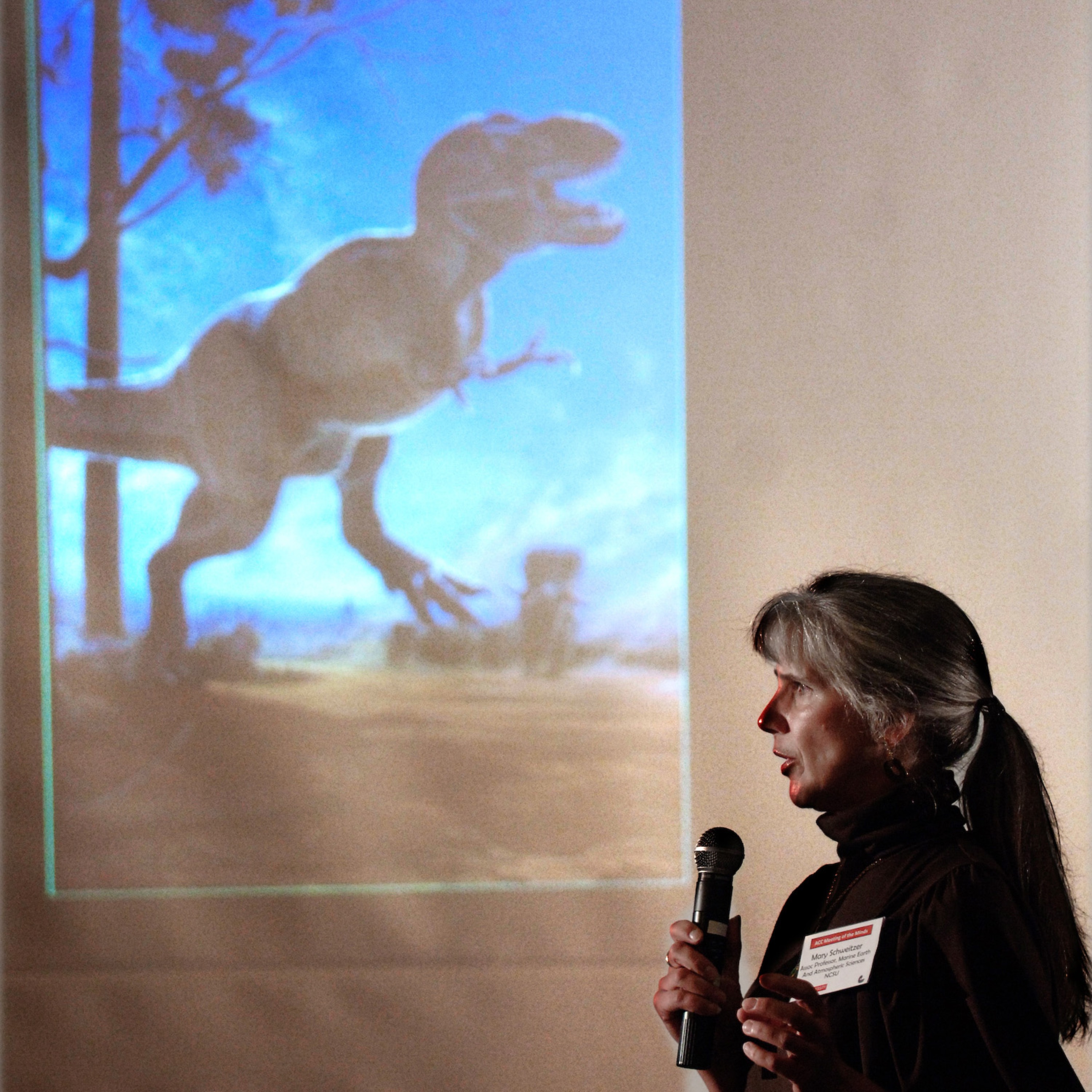 Teaching T-Rex episode artwork