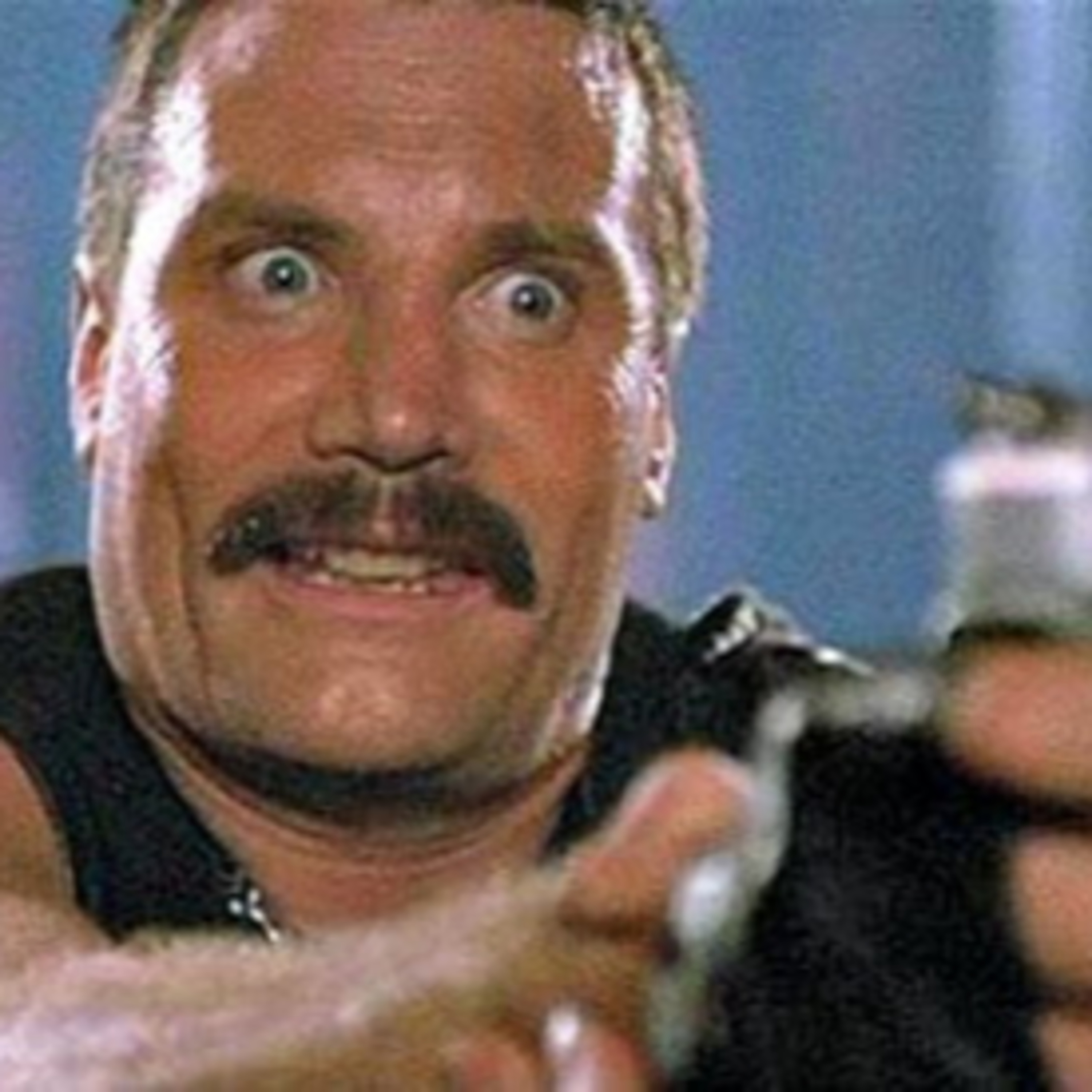 Celebrity Interviews