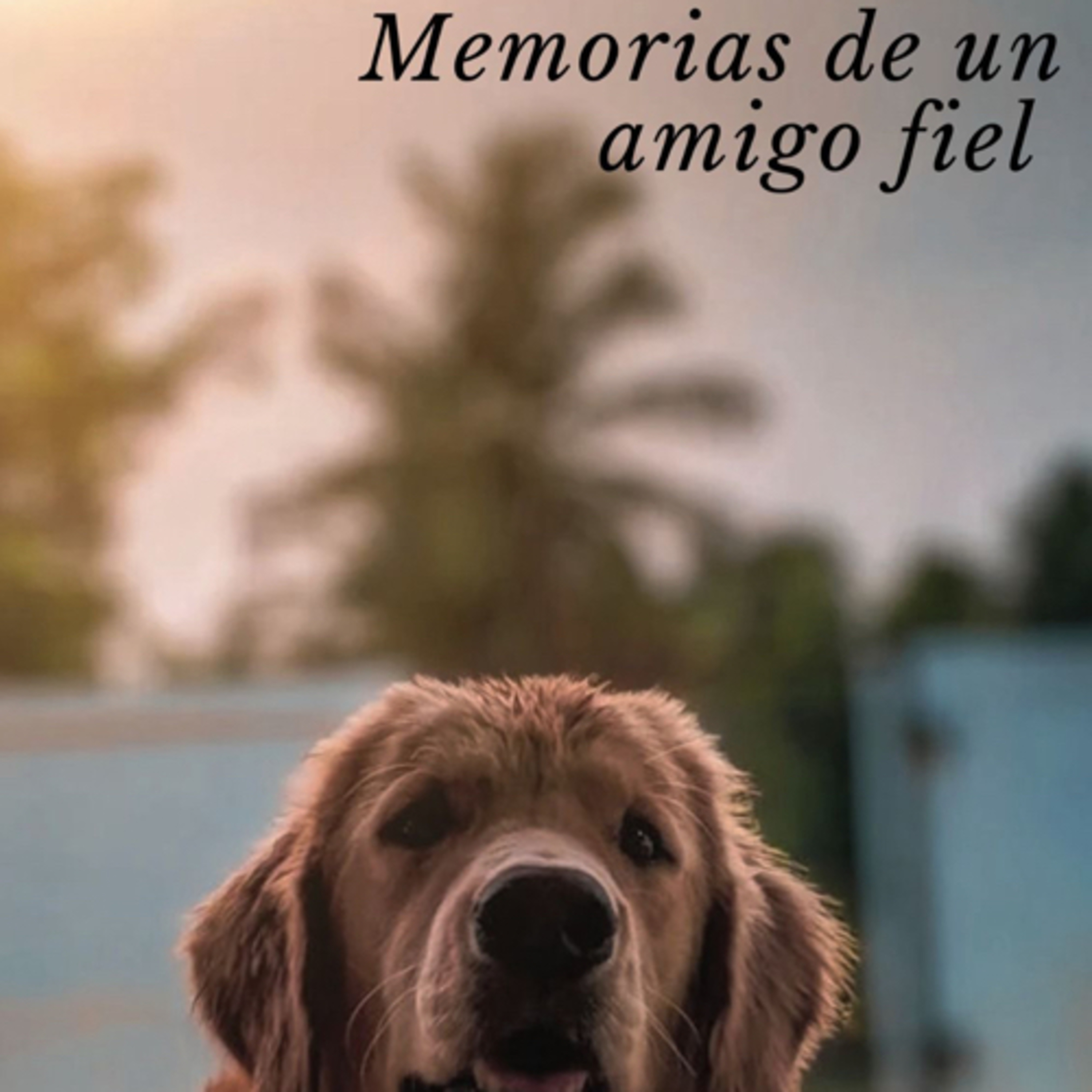 Detrás de las palabras