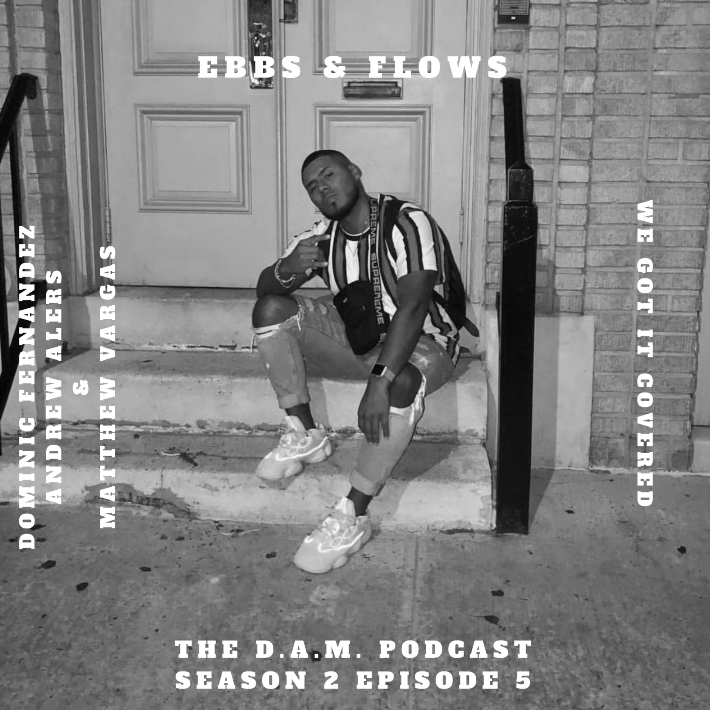 THE D.A.M. PODCAST SEASON 2 EPISODE 5 - EBBS & FLOWS episode artwork