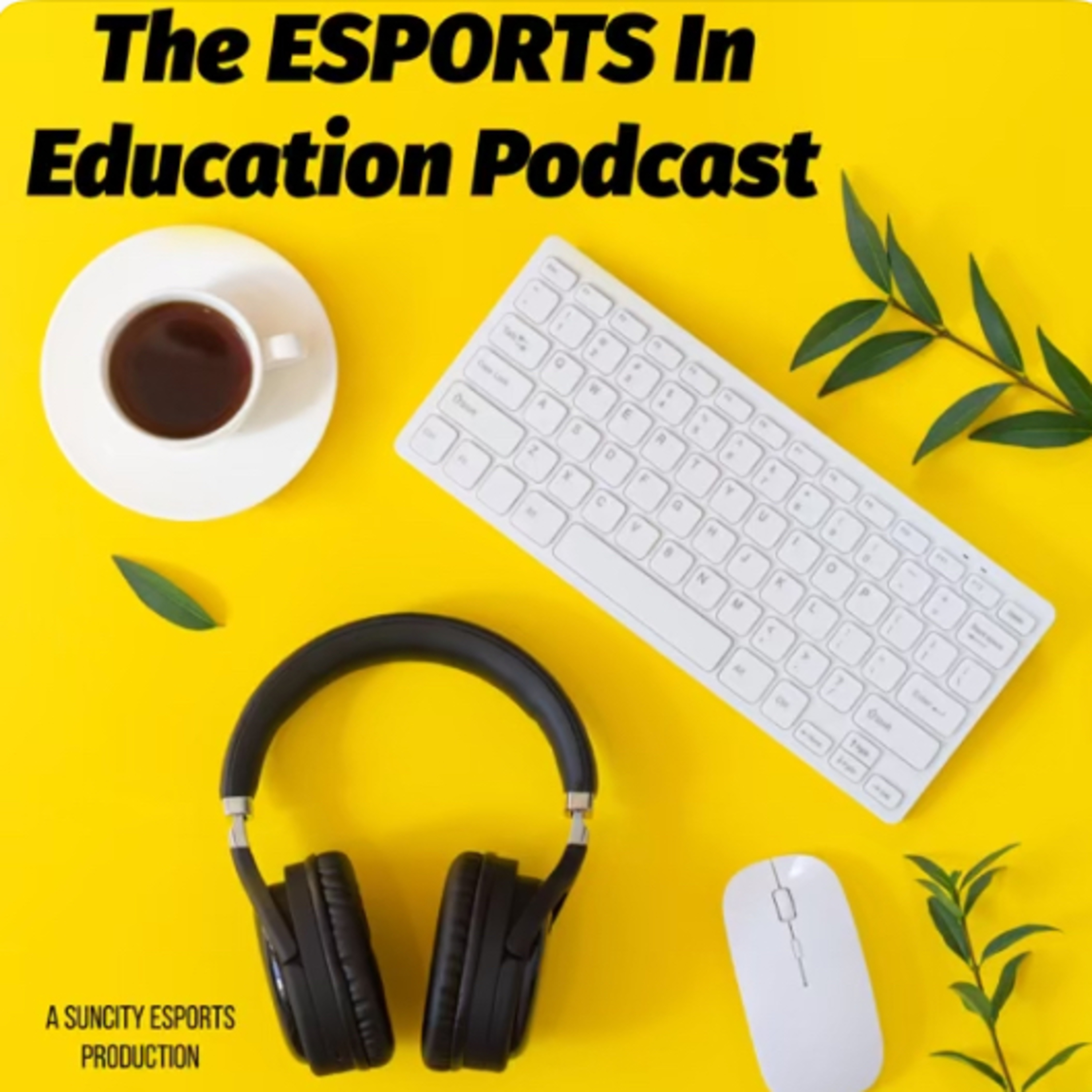 The ESPORTS In Education Podcast