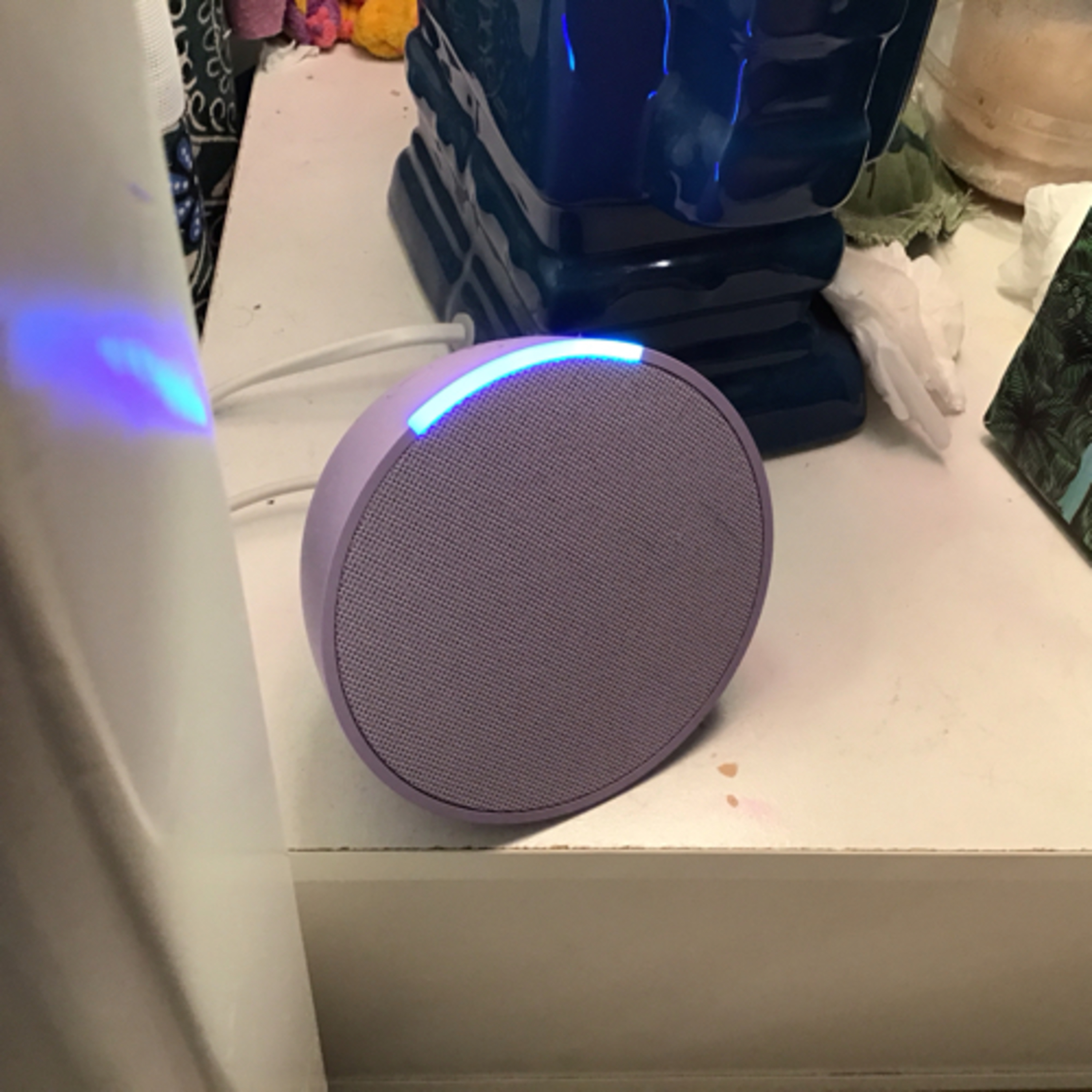 Making an oc with the help of my Alexa dot:Ziggy!