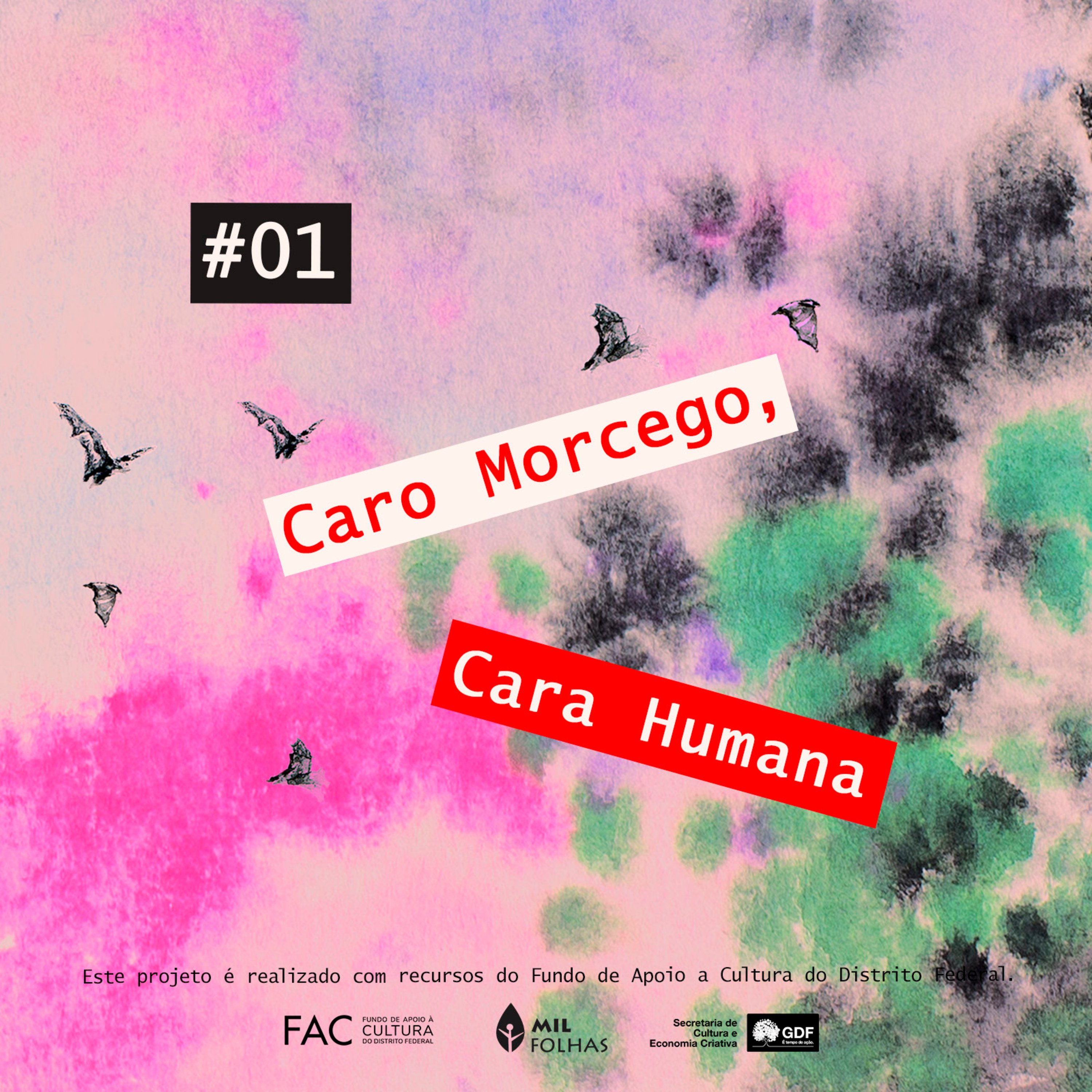 Caro Morcego, Cara Humana