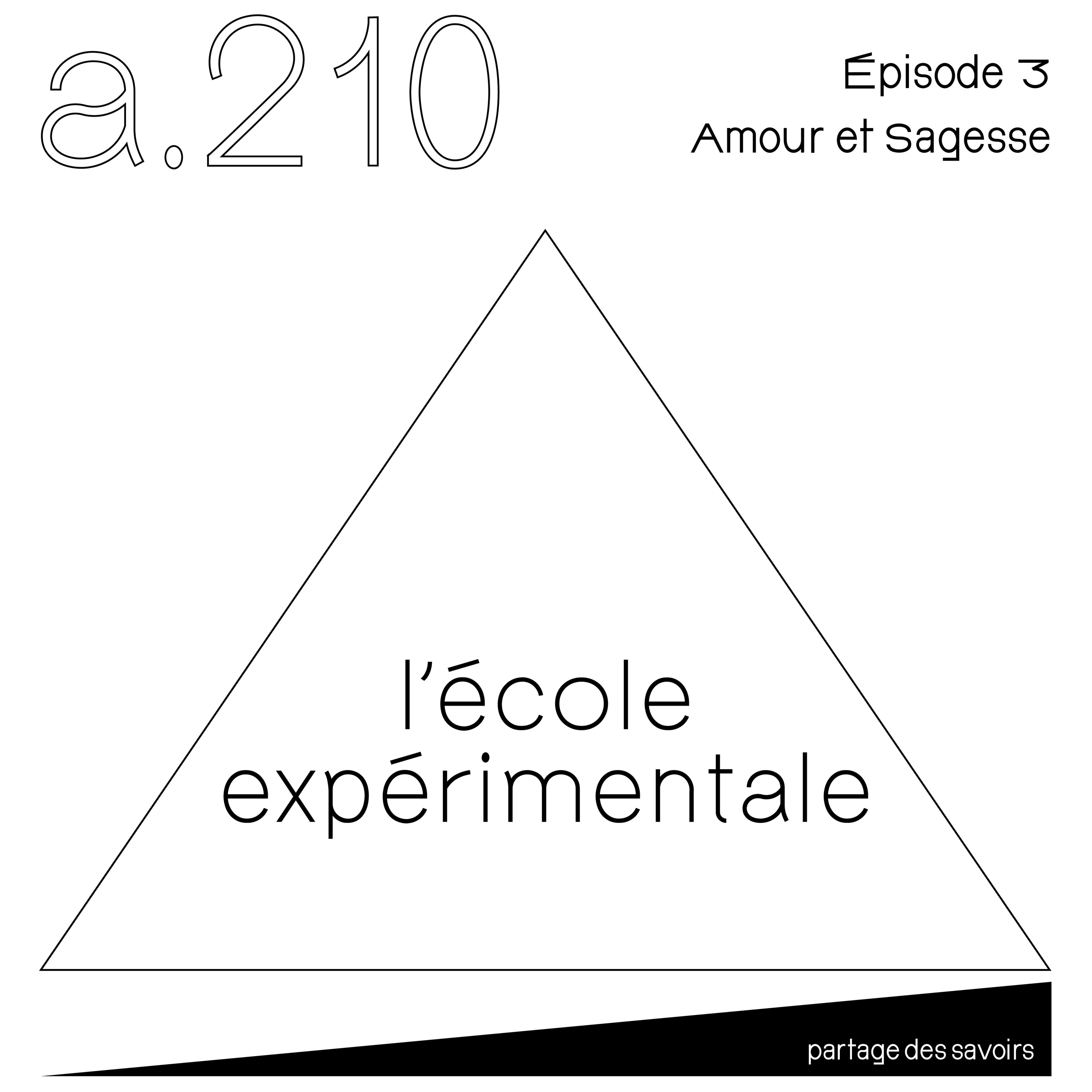 atelier210: École Expérimentale