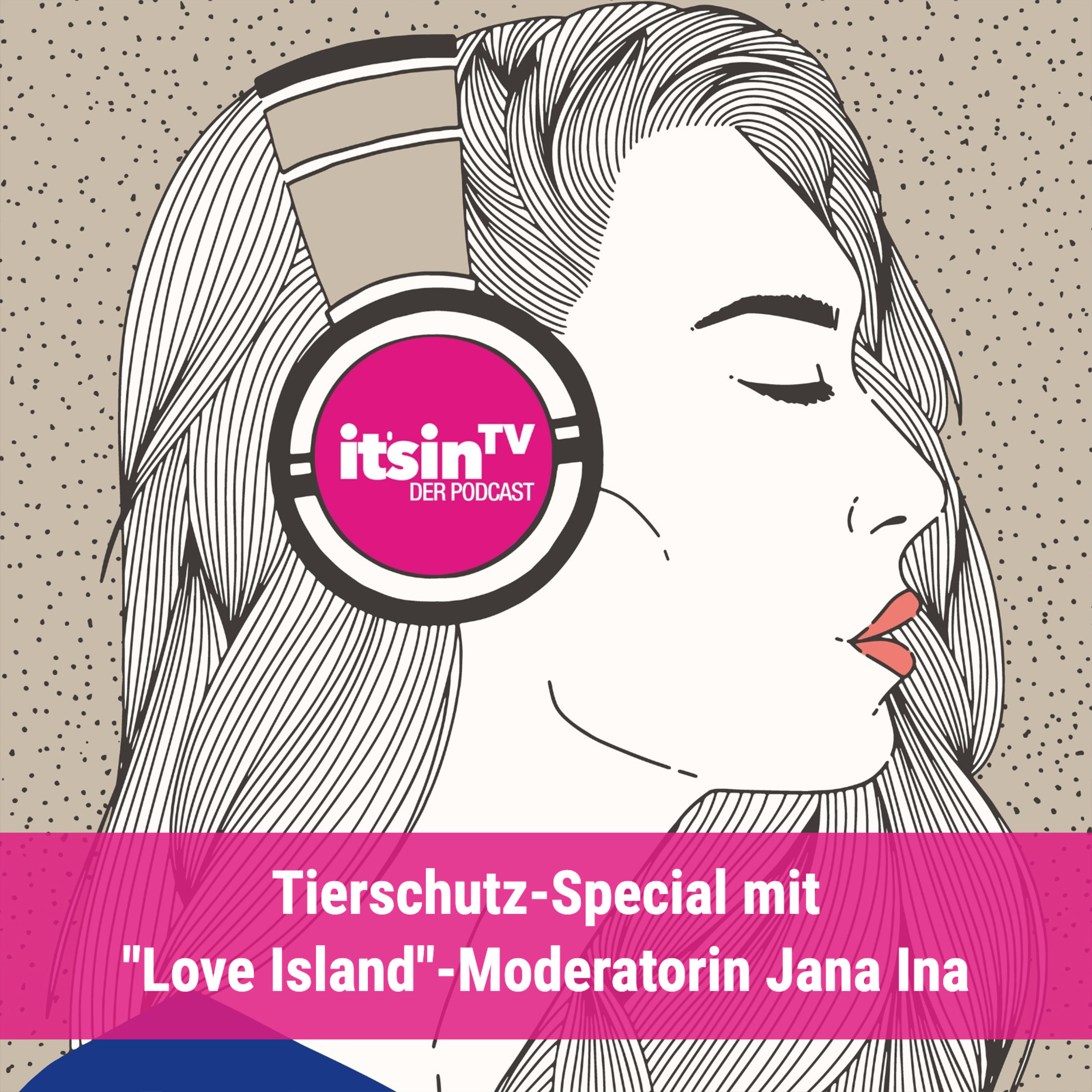 itsinTV Der Podcast