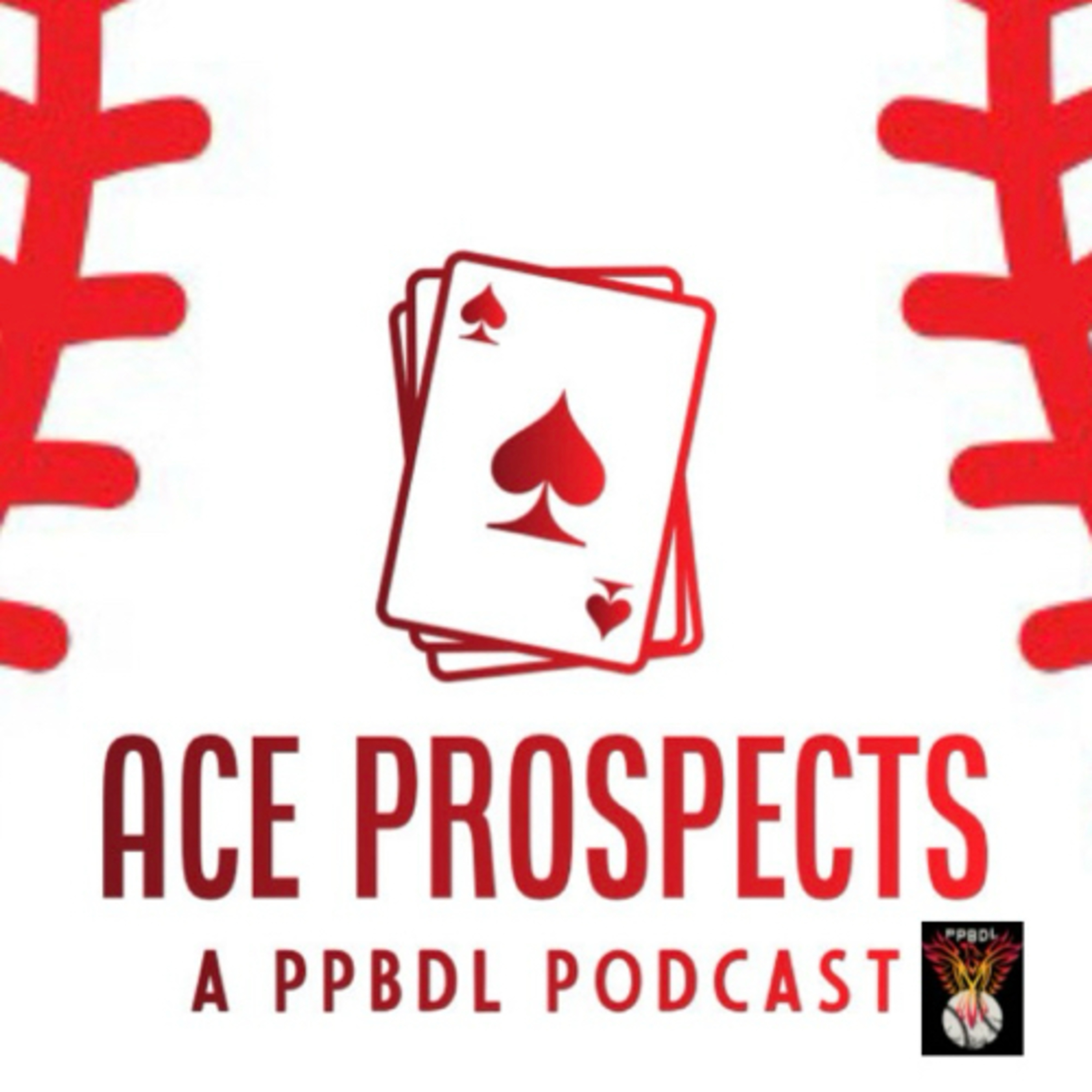The PPBDL Podcast