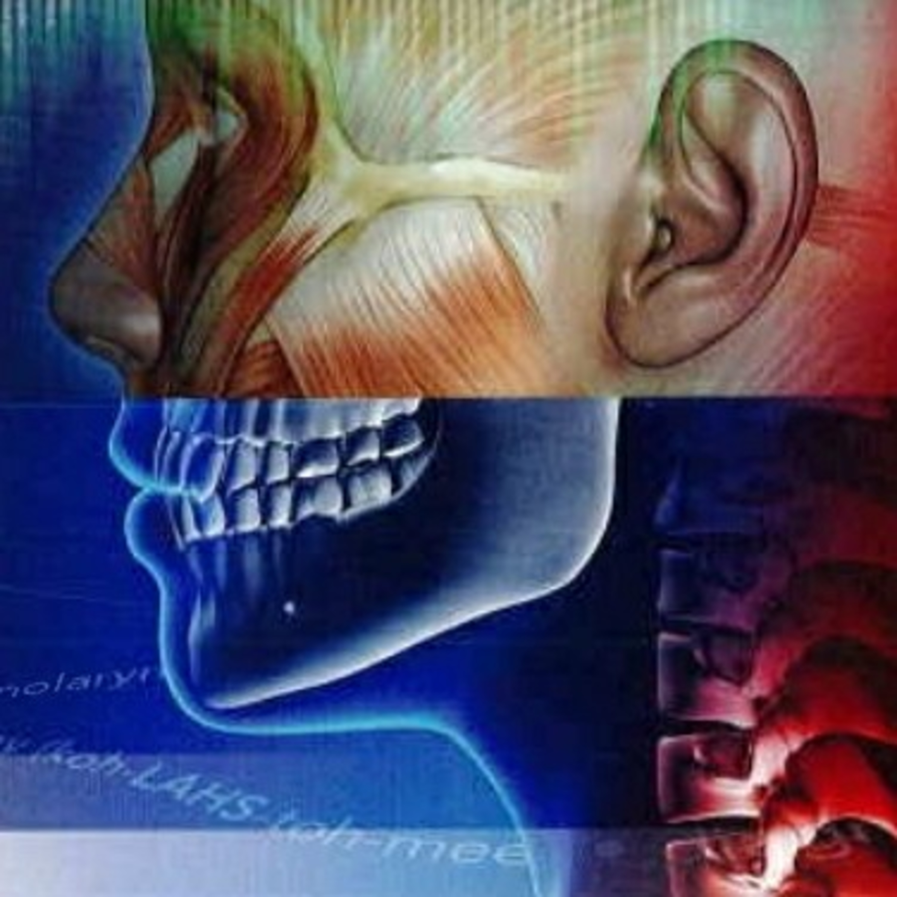 Medical Terminology for Health Professions Chapter 1: Introduction to Medical Terminology