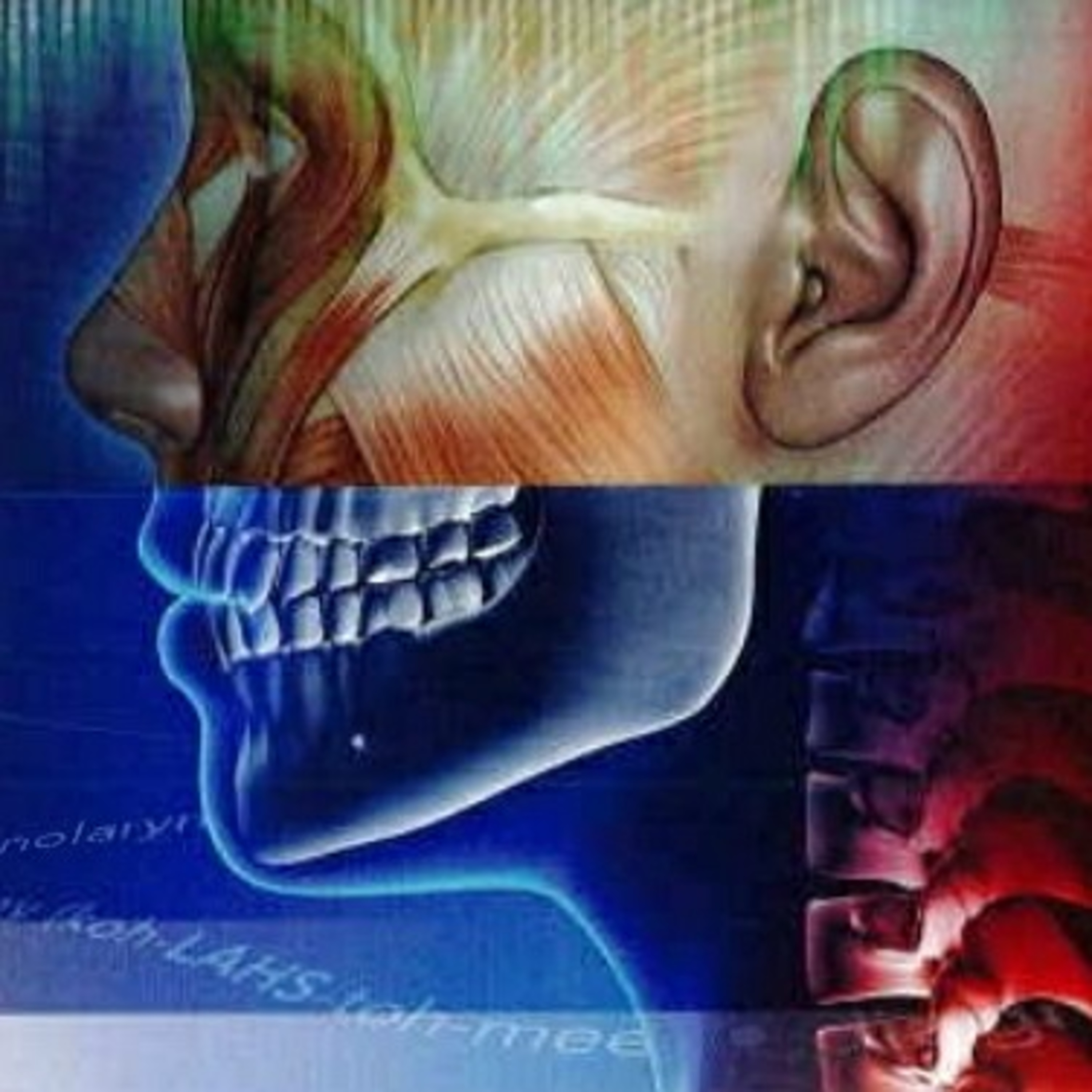 Medical Terminology for Health Professionals Chapter 5: The Cardiovascular System