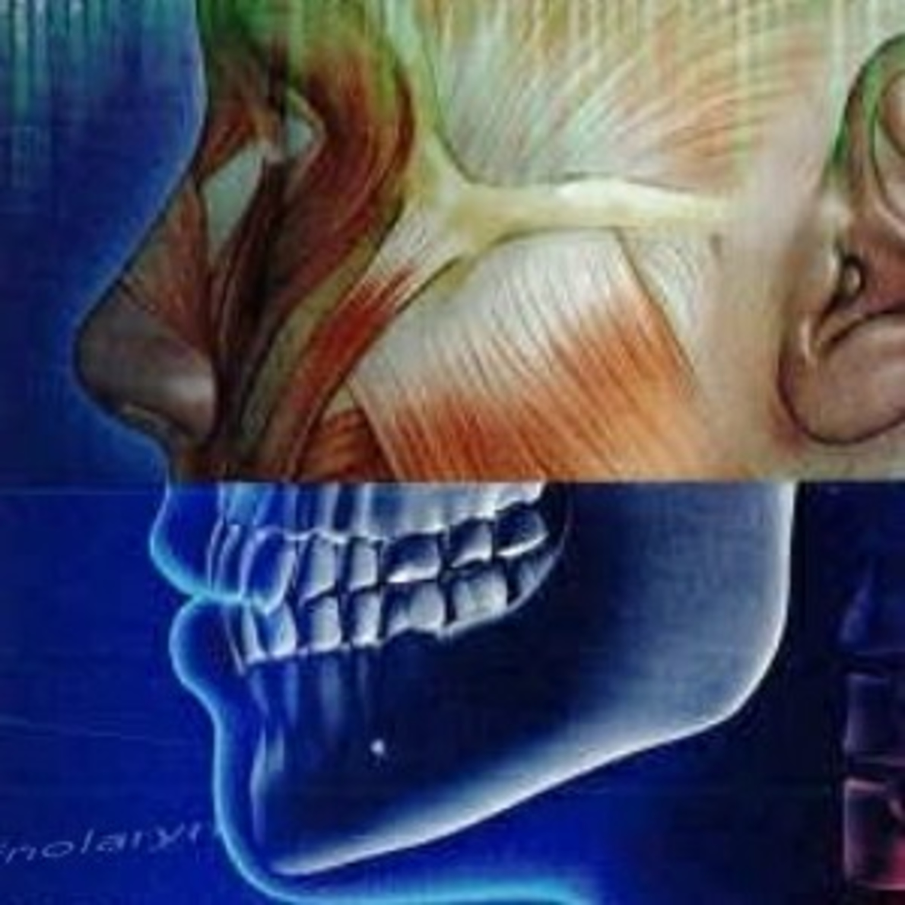 Medical Terminology for Health Professions, Chapter Ten: The Nervous System