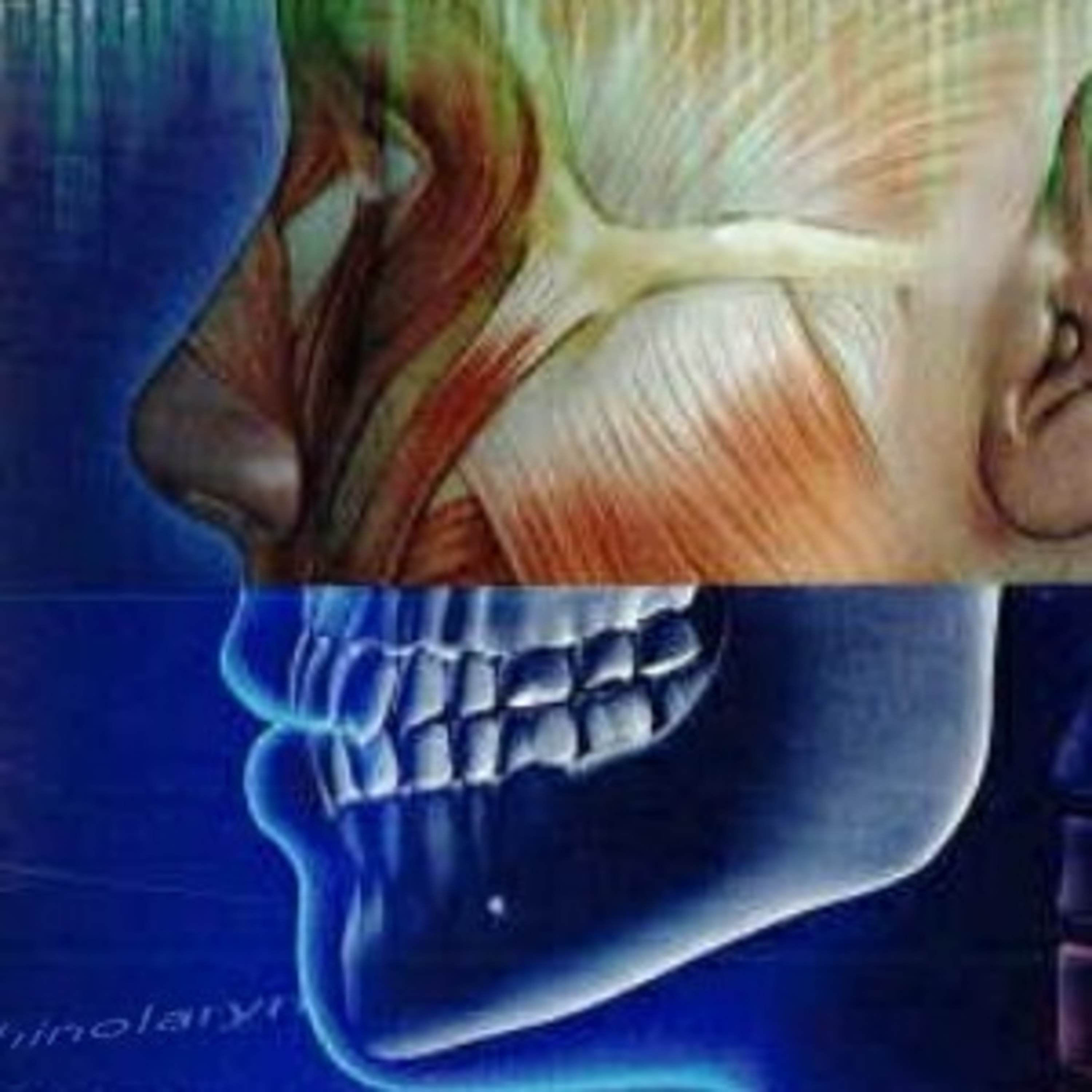 Medical Terminology for Health Professions Chapter Twelve: The Integumentary System.