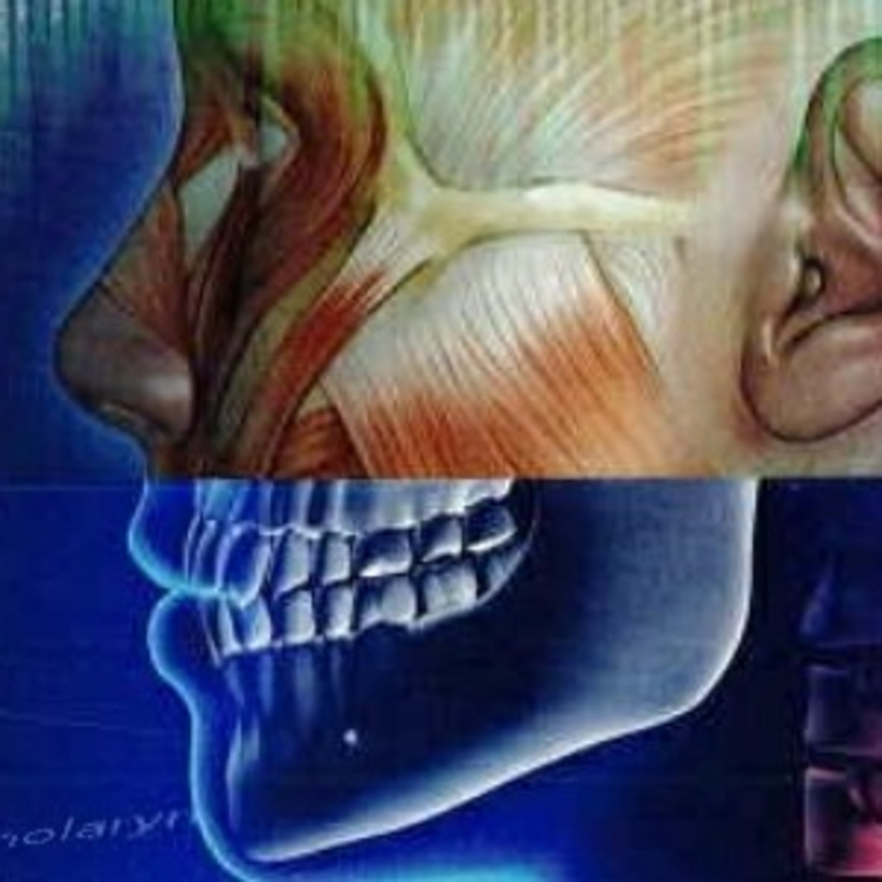 Medical Terminology for Health Professions, Chapter Thirteen: The Endocrine System