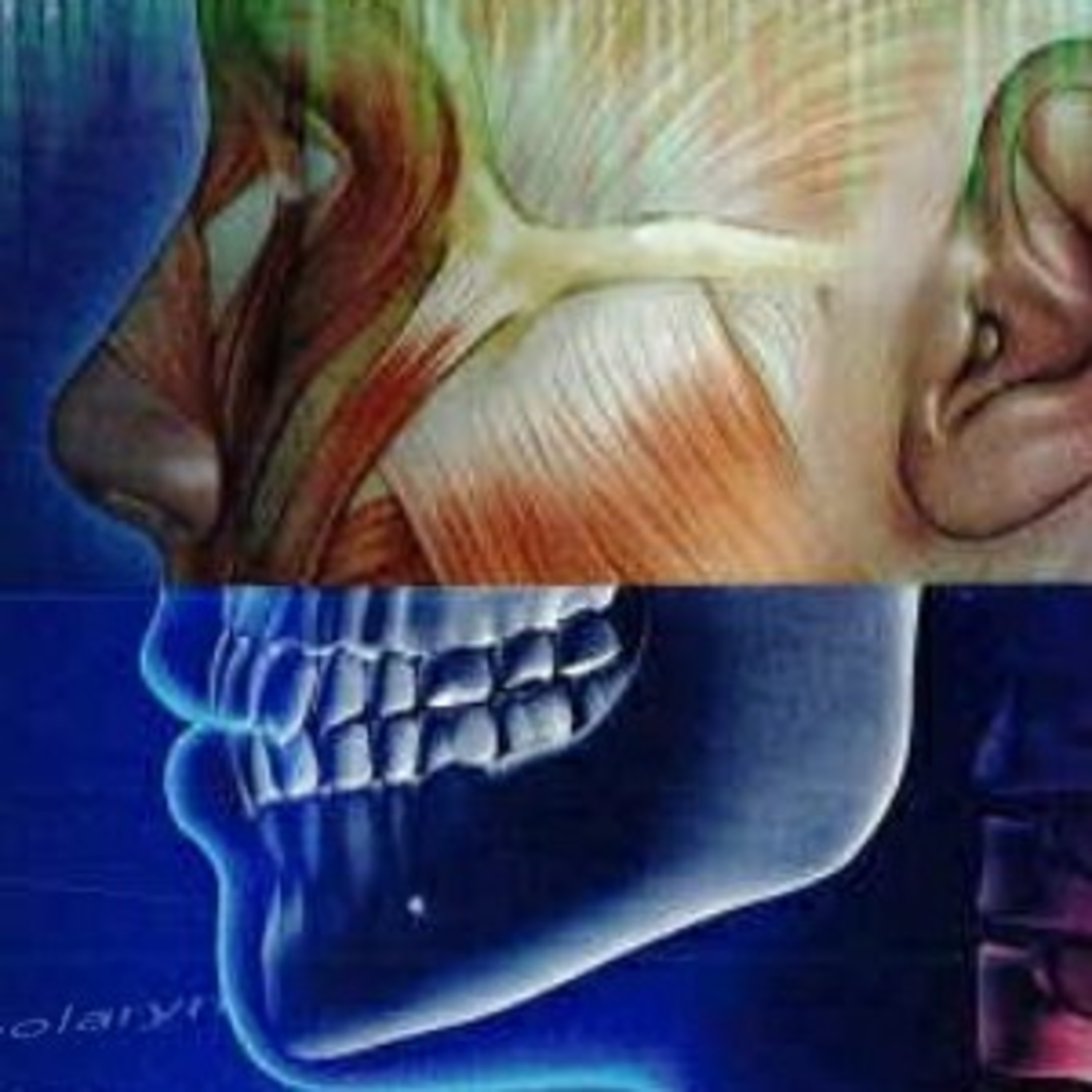 Medical Terminology for Health Professions, Chapter Fourteen: The Reproductive System