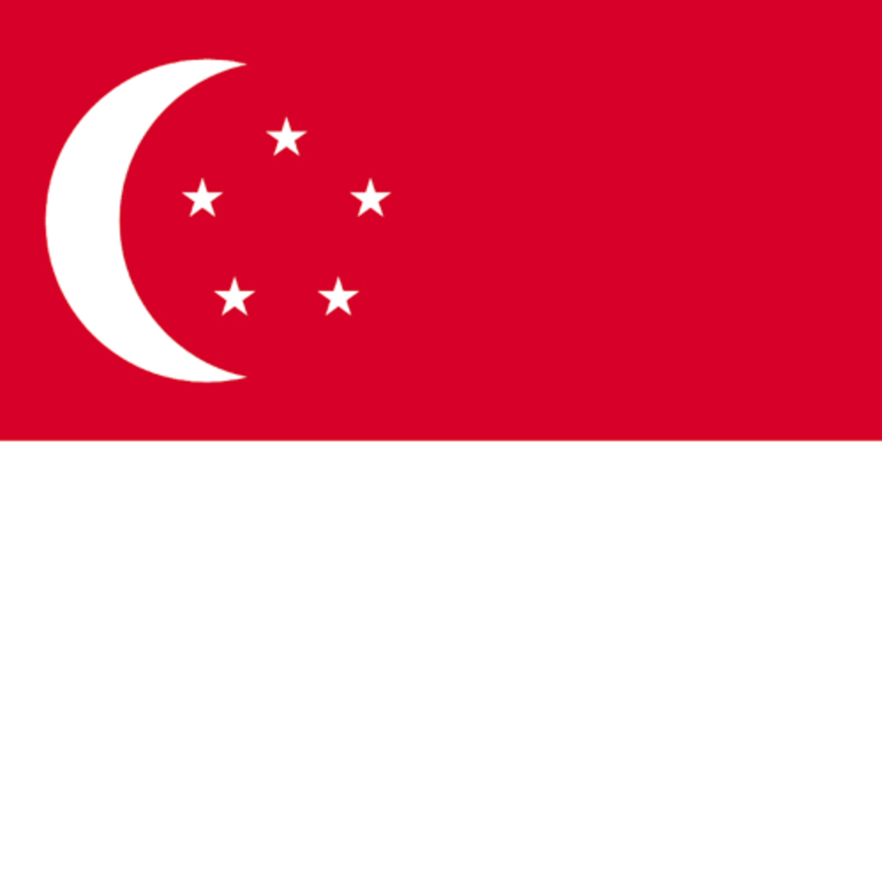 多民族国家シンガポールで外国人と働くポイント