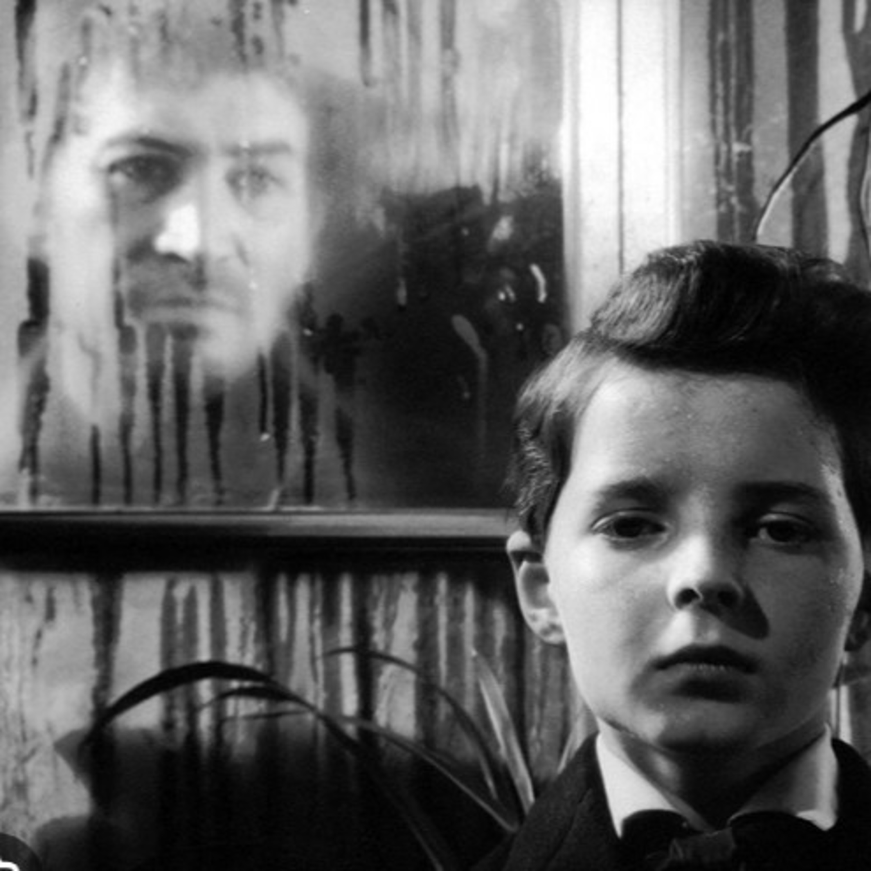 World Cinema History