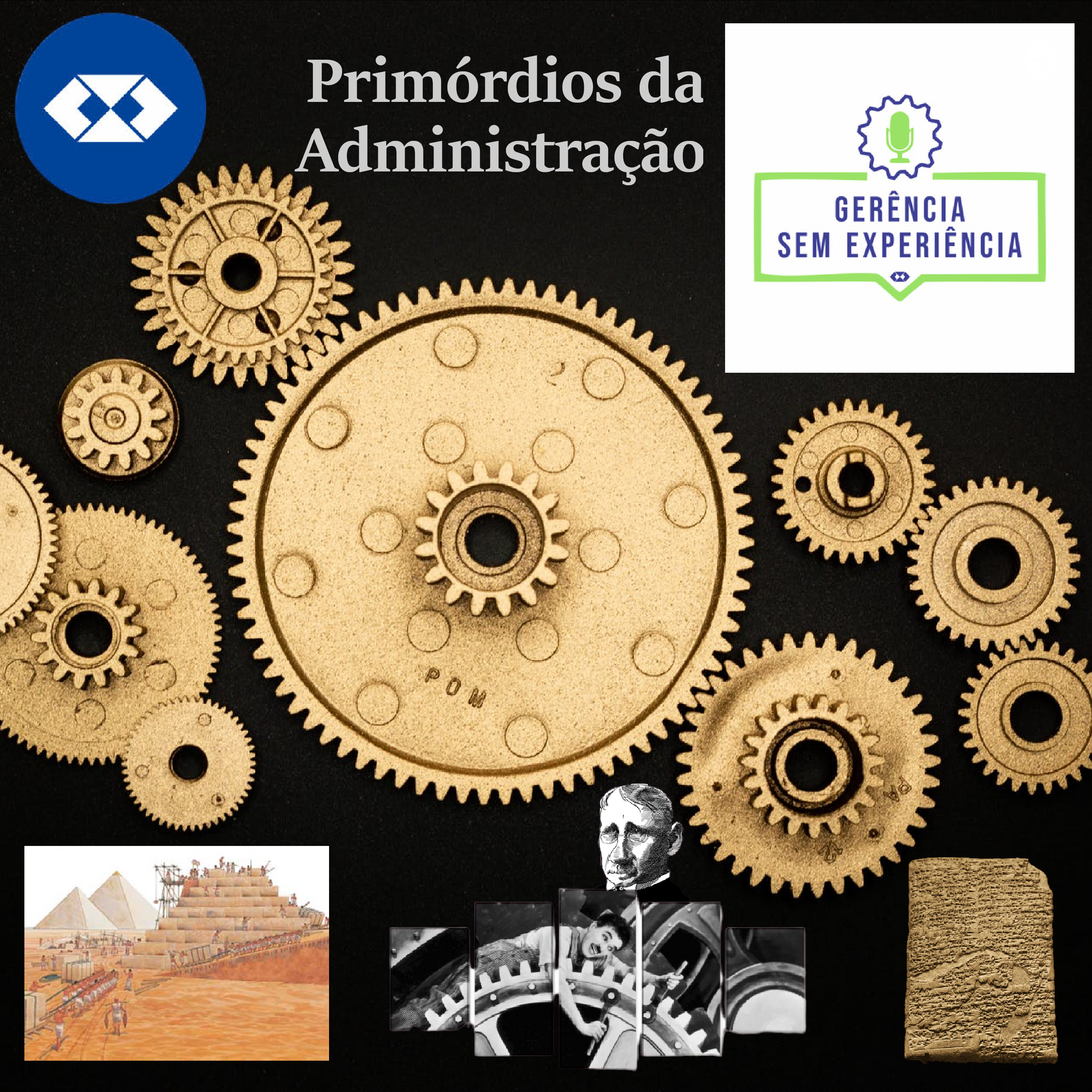Gerência Sem Experiência