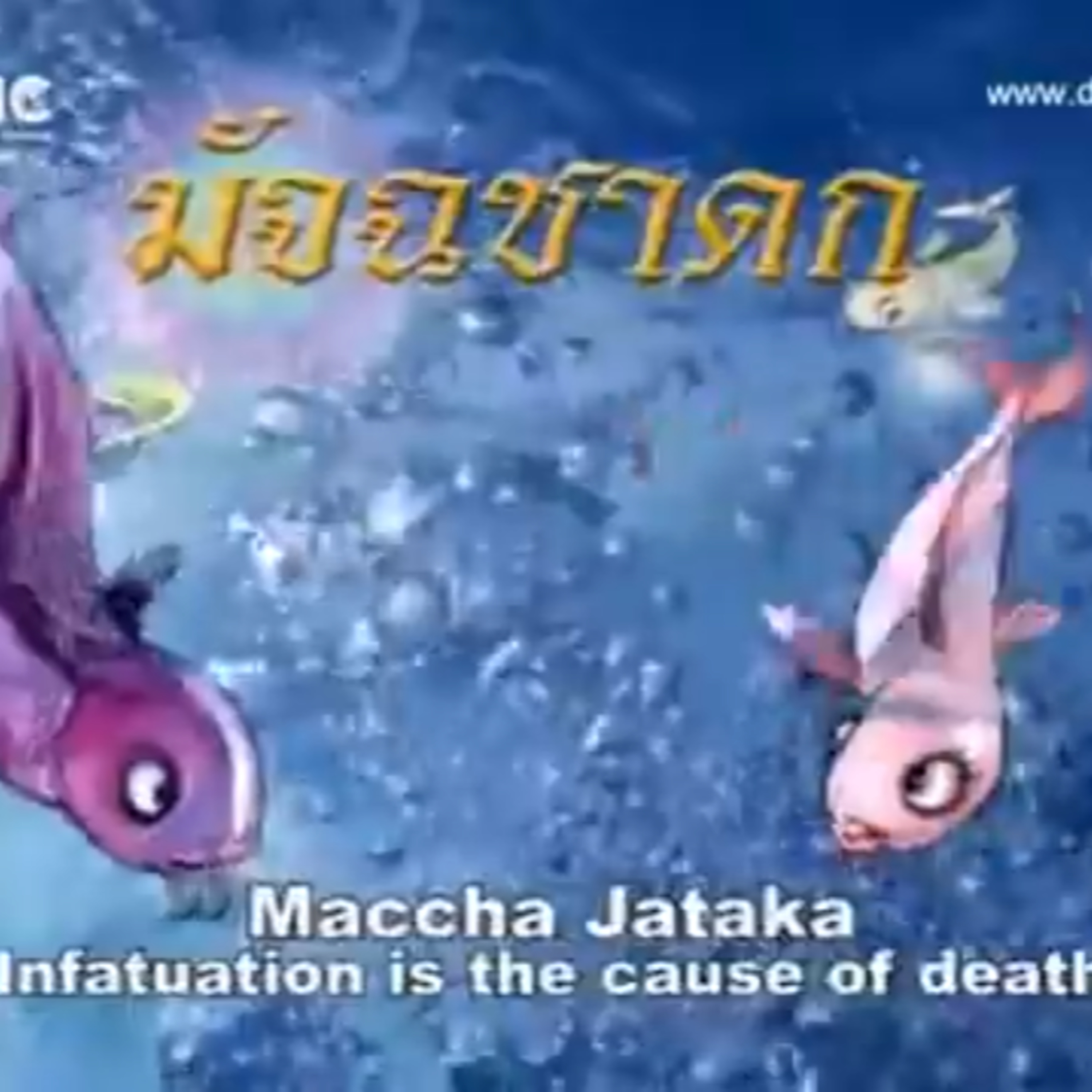 มัจฉชาดก ชาดกว่าด้วย ไฟราคะร้อนกว่าไฟอย่างอื่น episode artwork