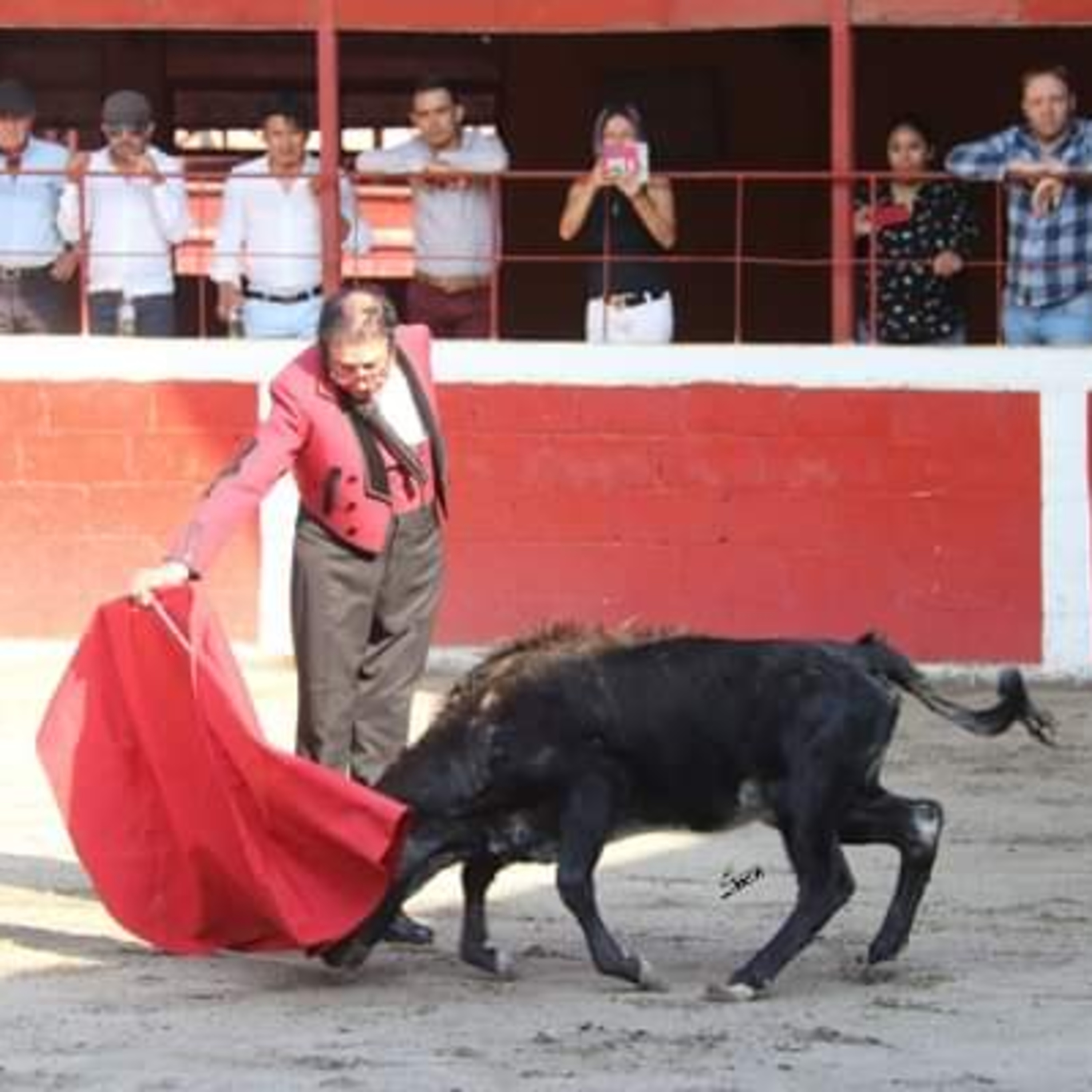 Ciudad Taurina de Edgar Mendoza