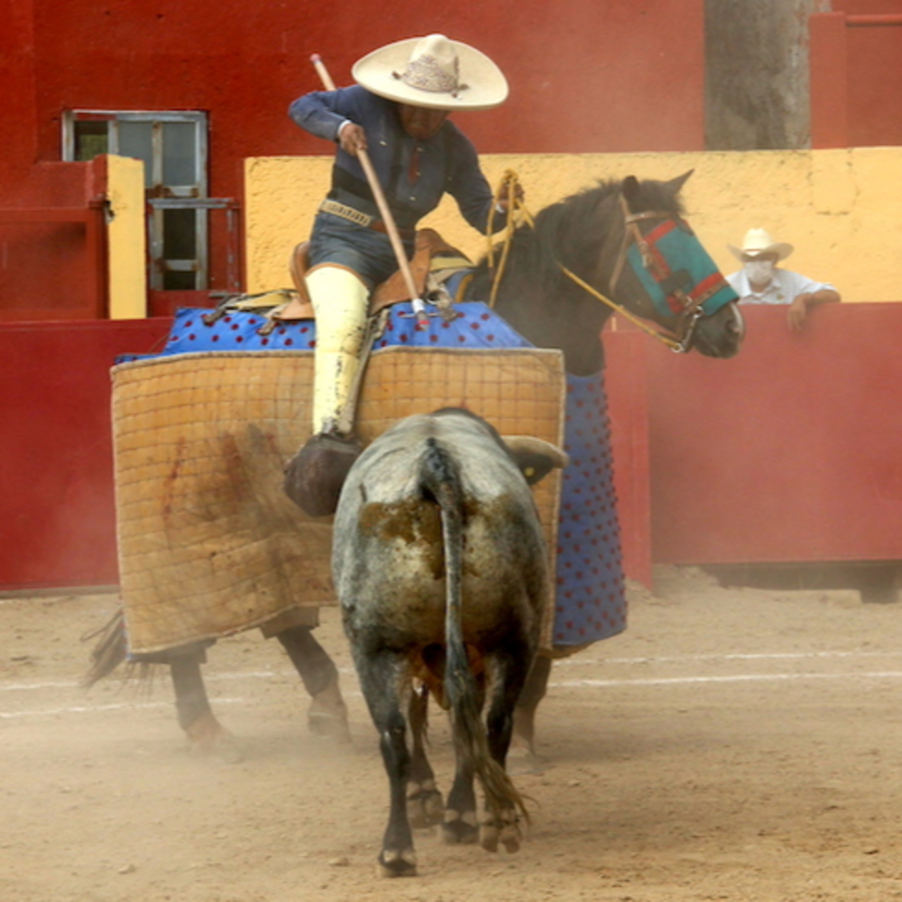 Ciudad Taurina de Edgar Mendoza