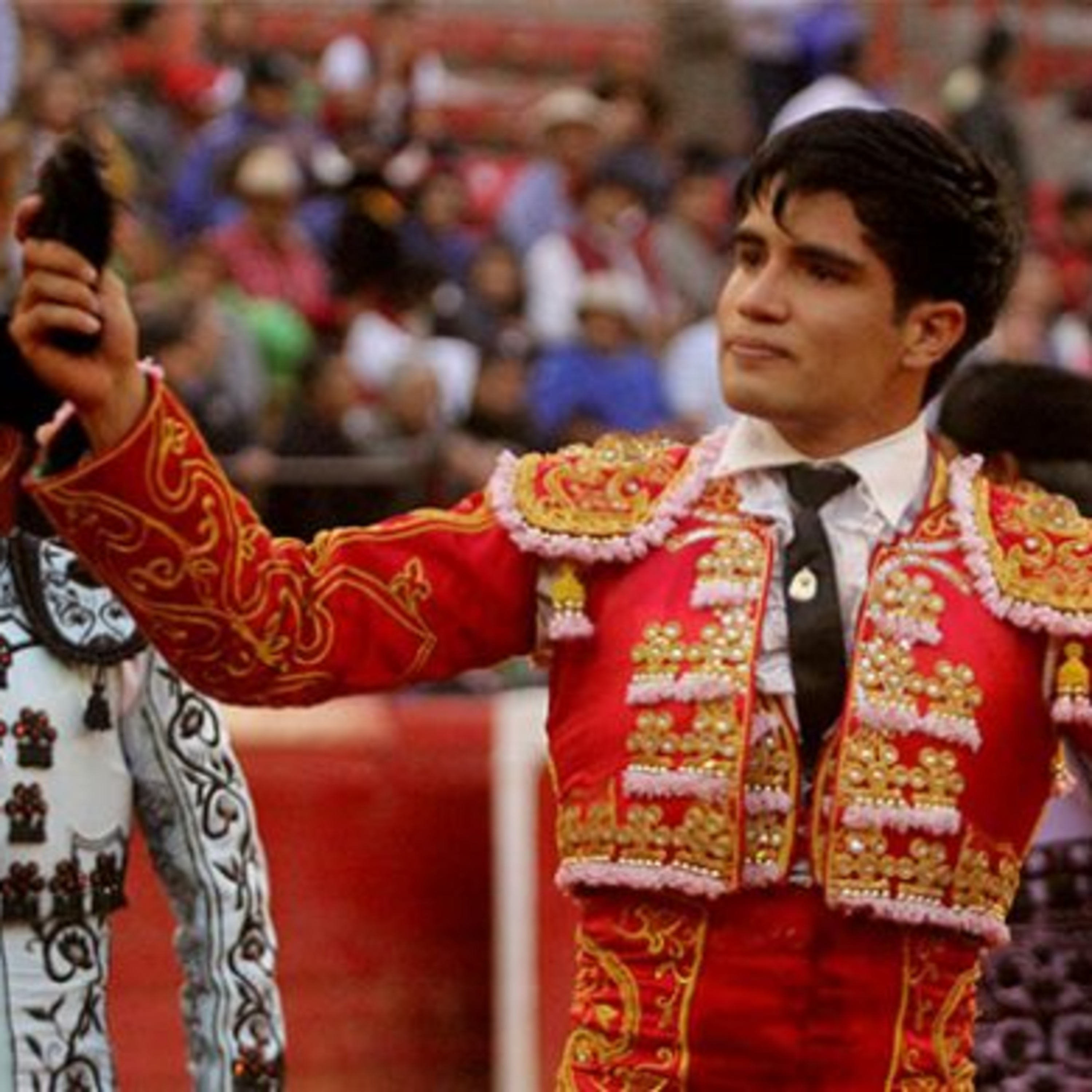 Ciudad Taurina de Edgar Mendoza