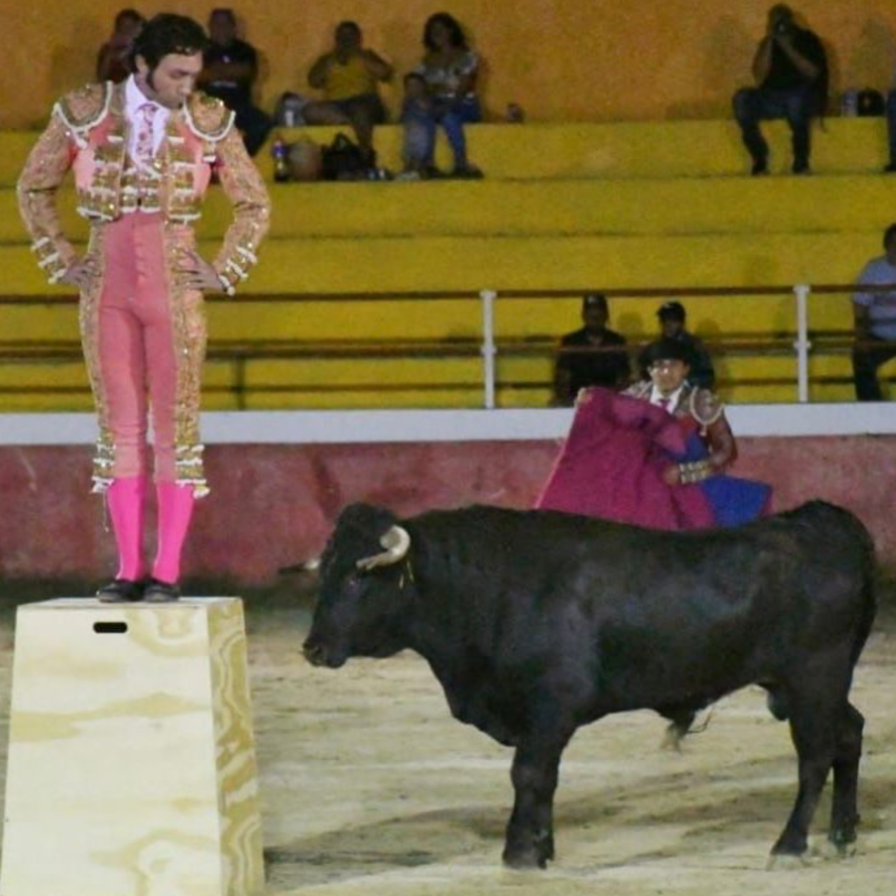 Ciudad Taurina de Edgar Mendoza