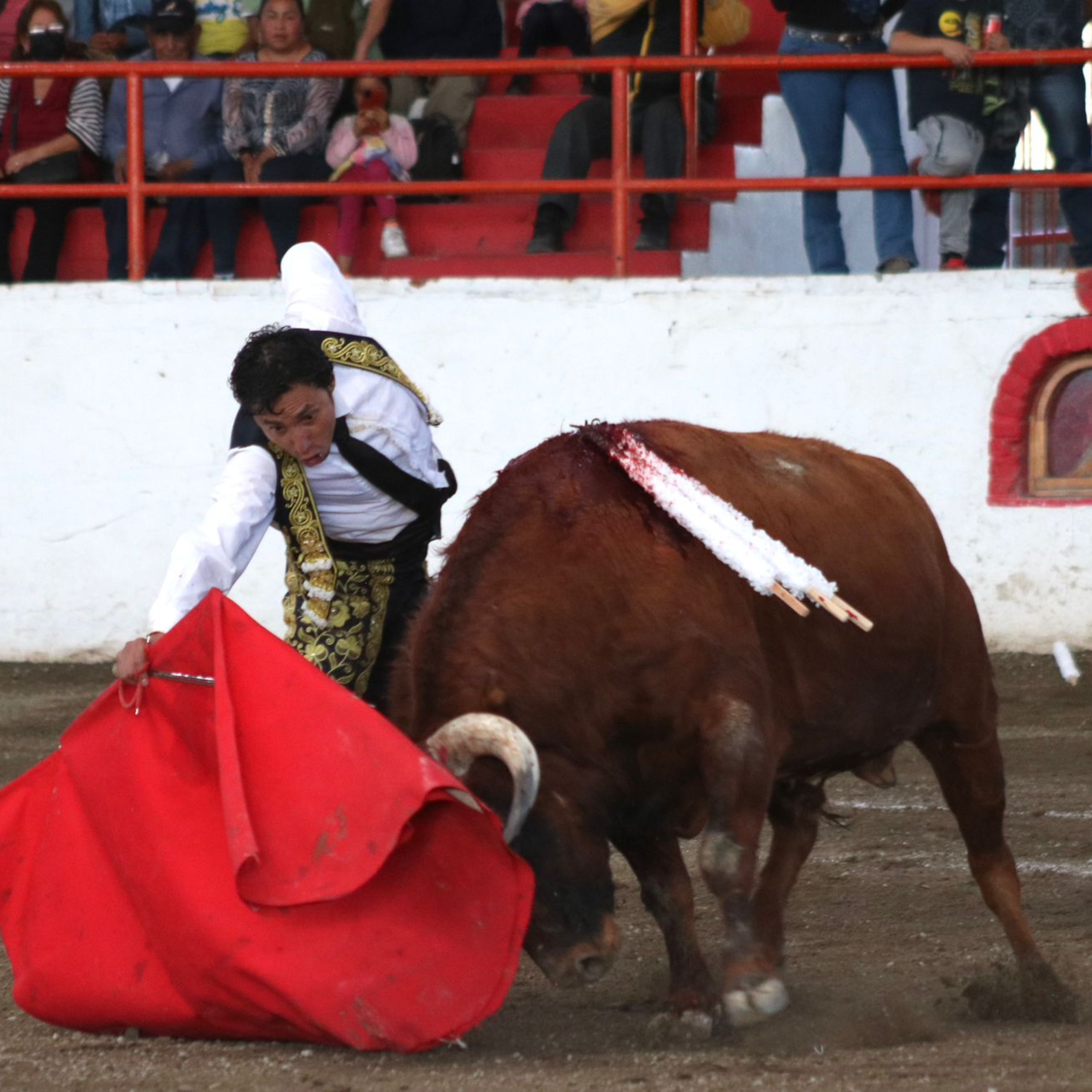 Ciudad Taurina de Edgar Mendoza